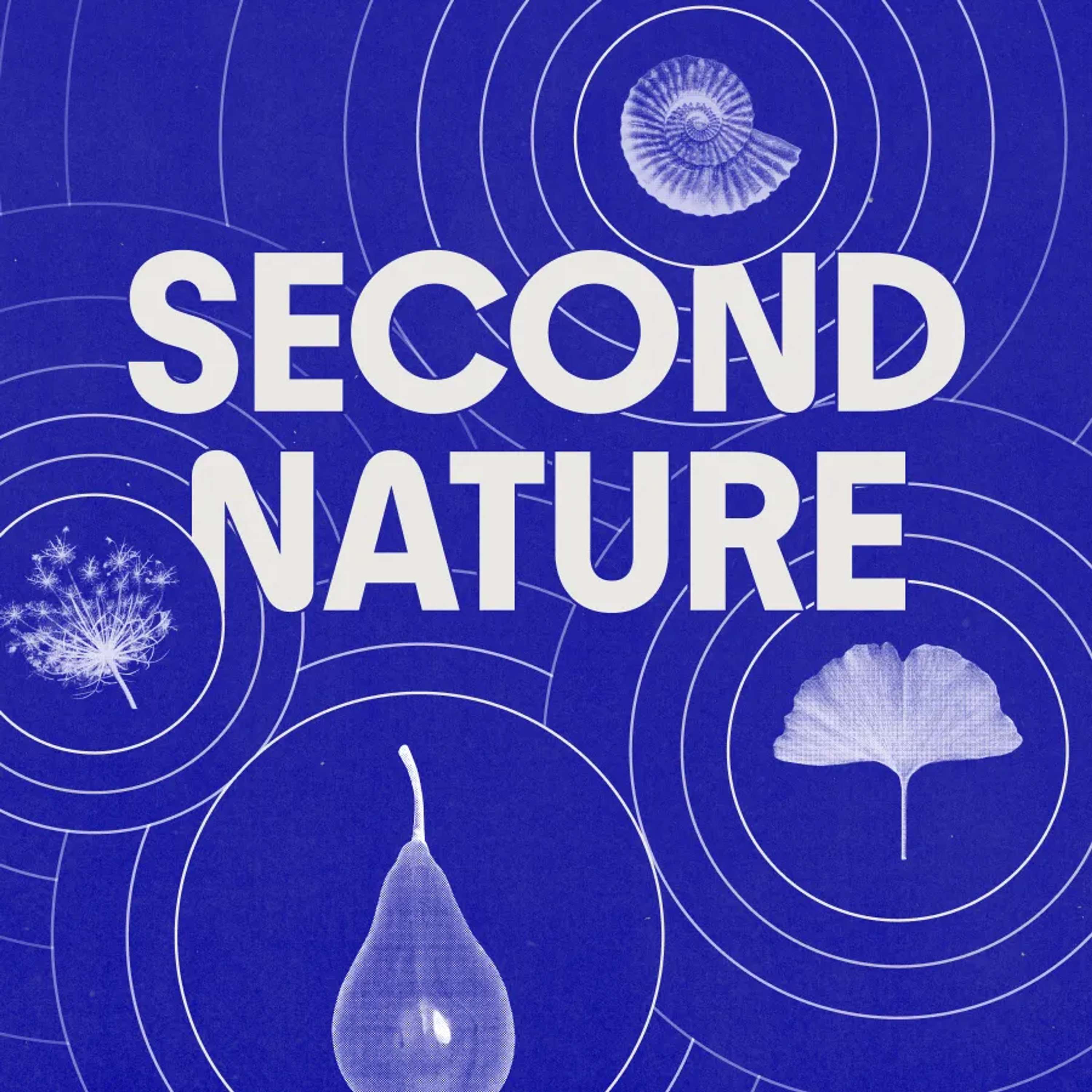 Second Nature
