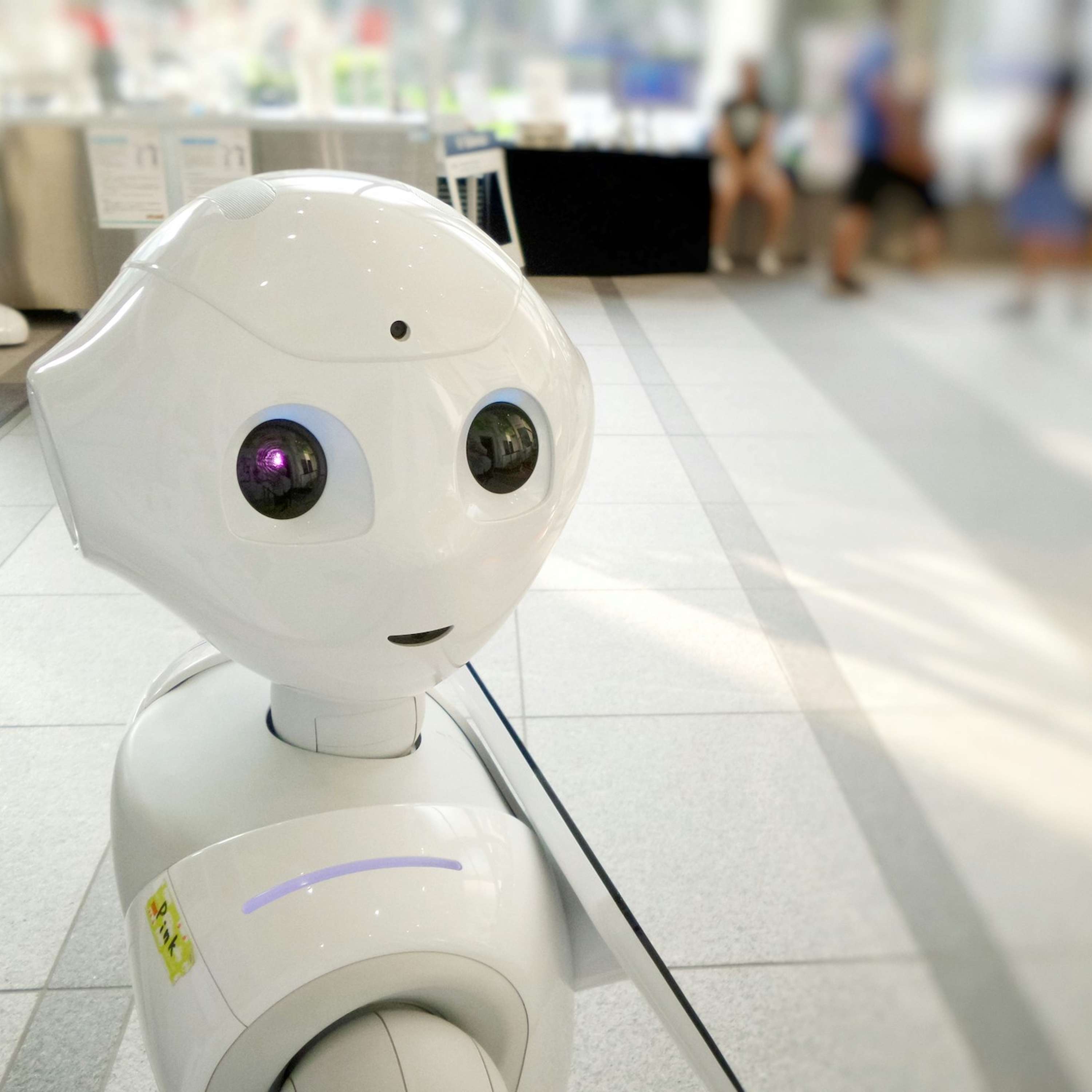 Why Adobe’s Commitments to AI and ESG Underline Potential for a Stock Market Rebound