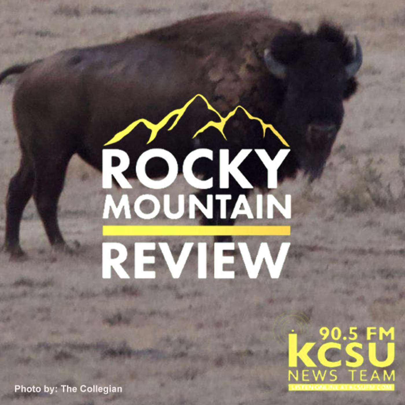 CSU bison conservation, teacher arrested for child sex abuse, and ICWA