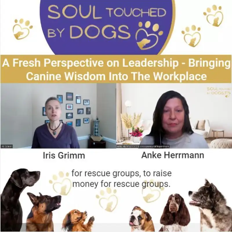 Iris Grimm - A Fresh Perspective on Leadership - Bringing Canine Wisdom Into The Workplace