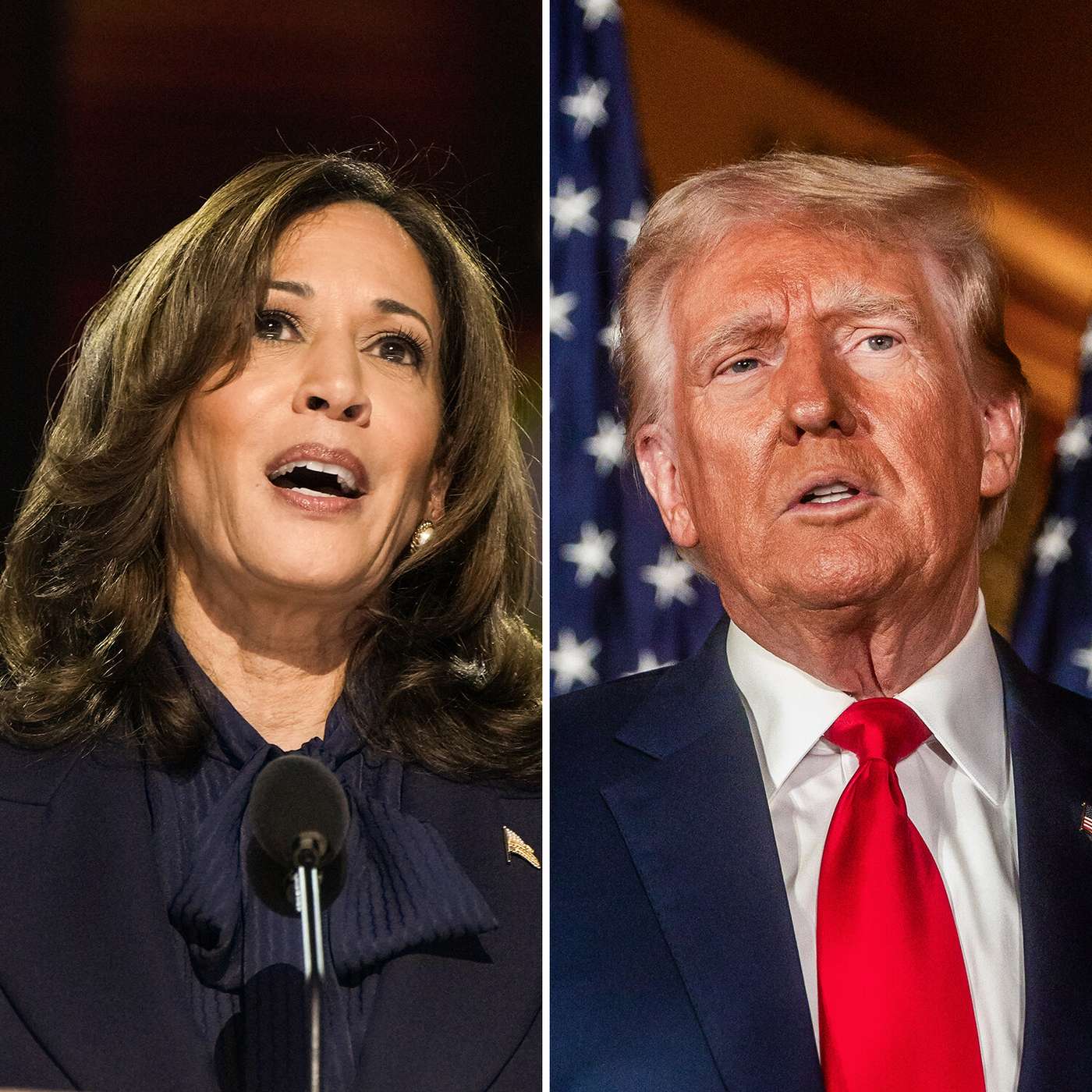 Understanding the 2024 US Election: A webinar for educators