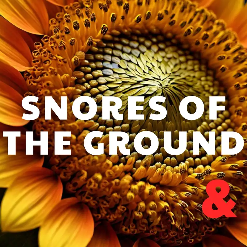 Snores of the Ground