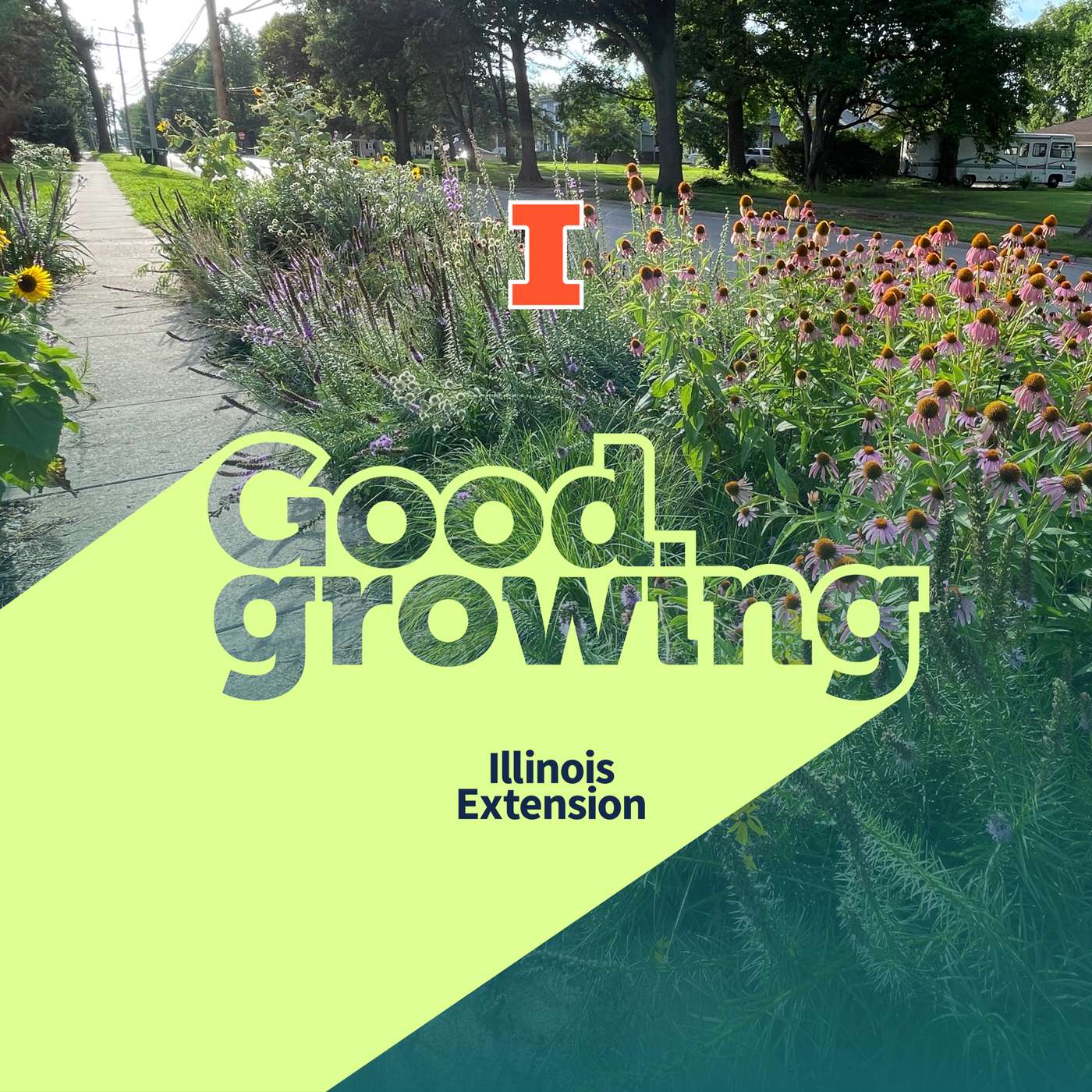 Good Growing