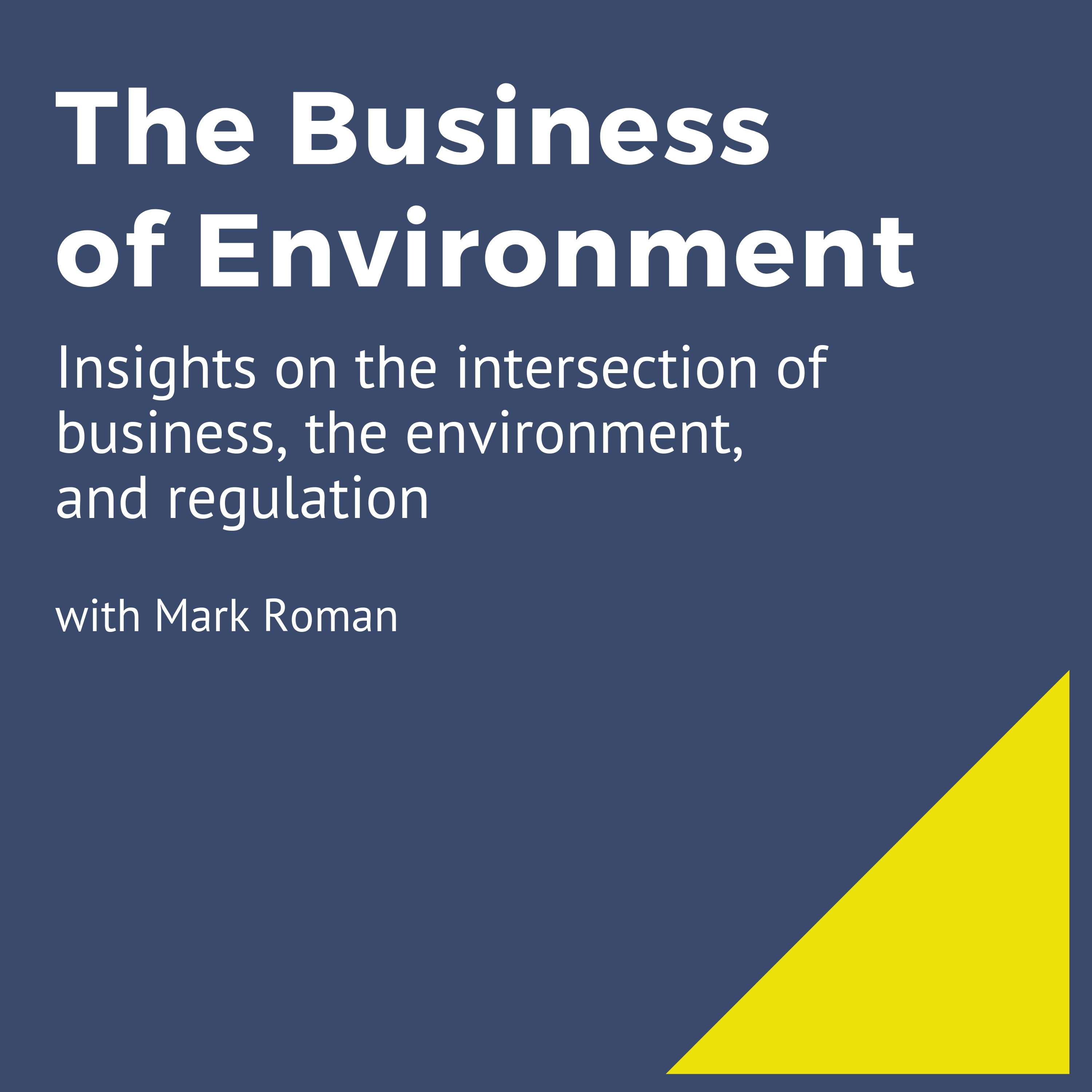 The Business of Environment