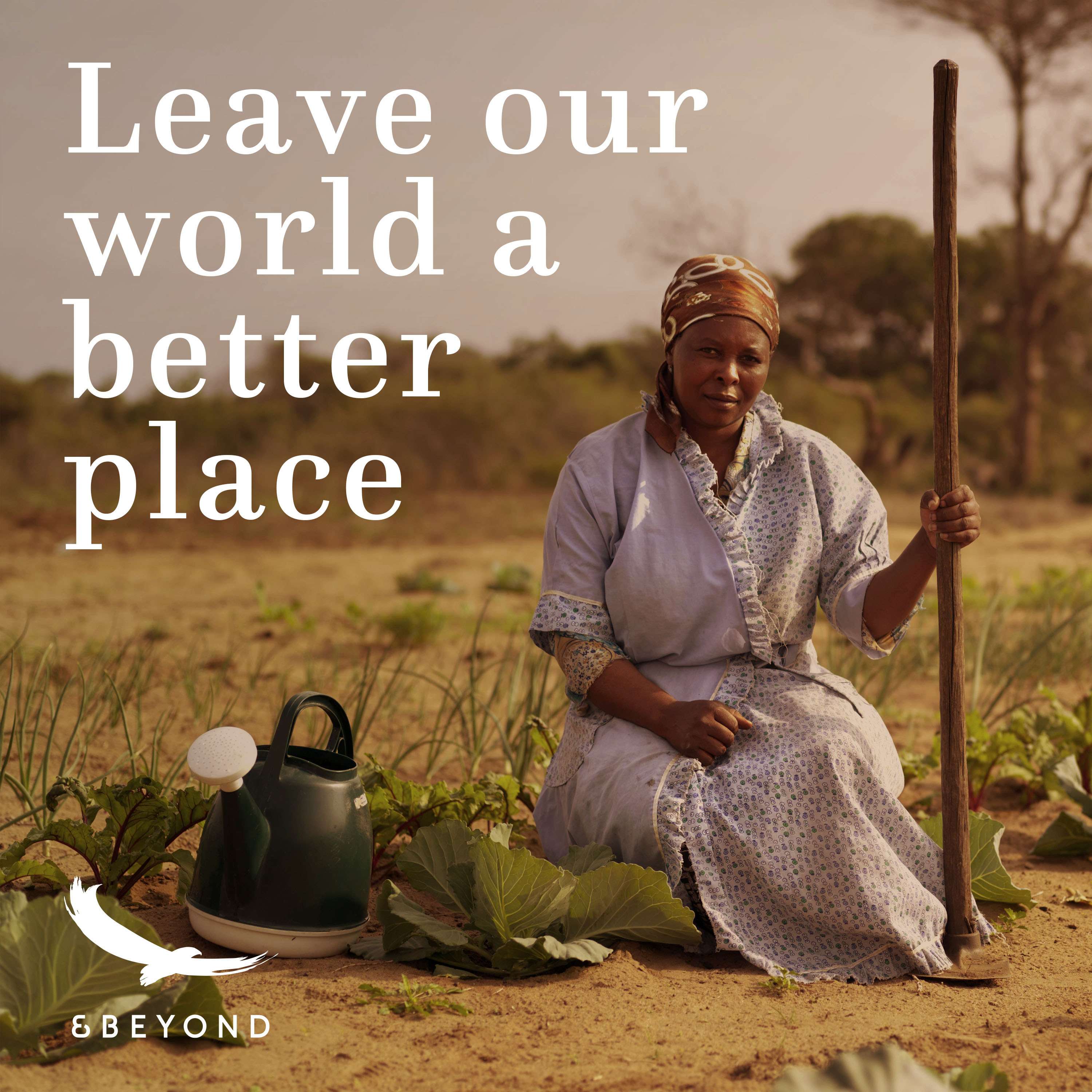 Better World