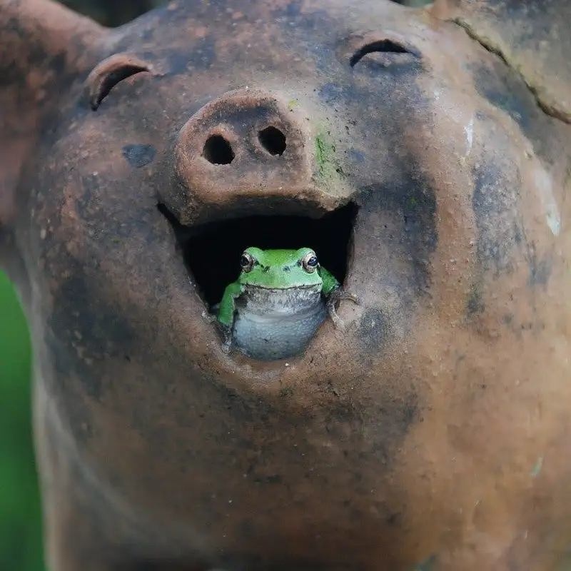 Science of Laughter