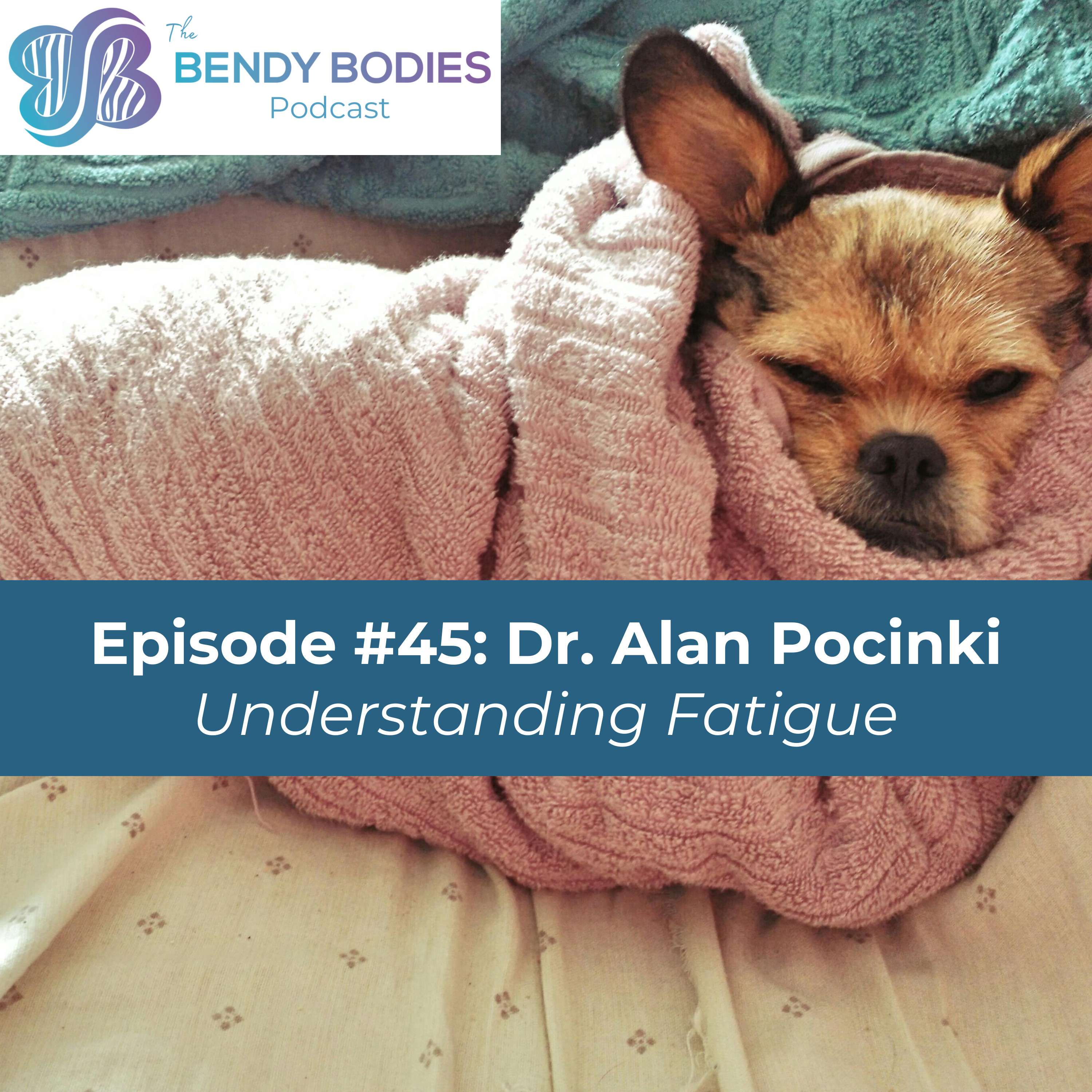 45. Understanding Fatigue with Alan Pocinki, MD