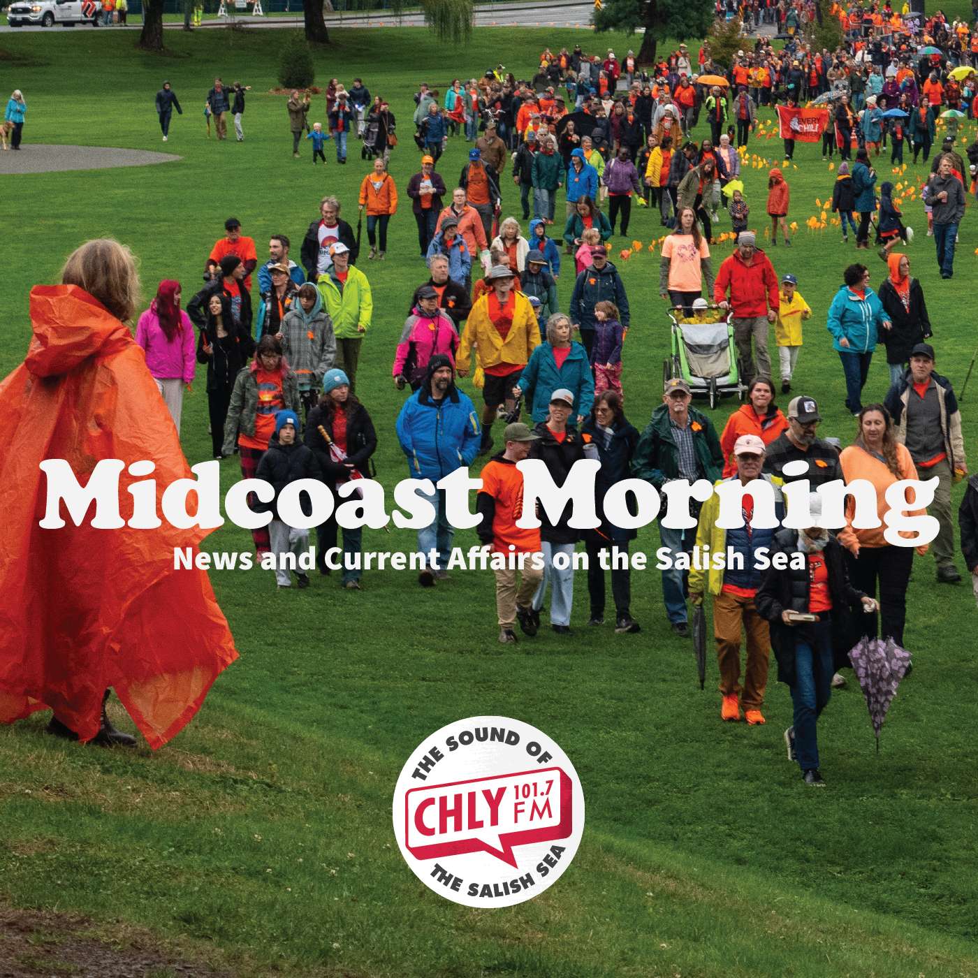 Midcoast Morning