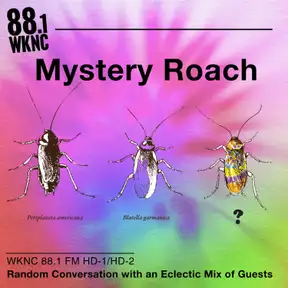 Mystery Roach