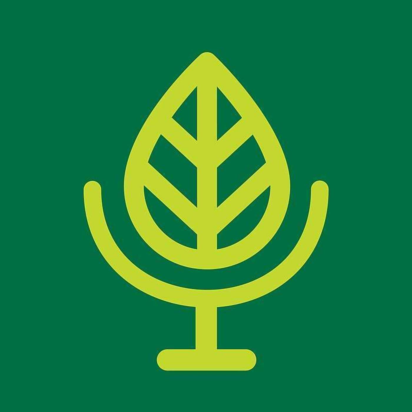 Terra Informa