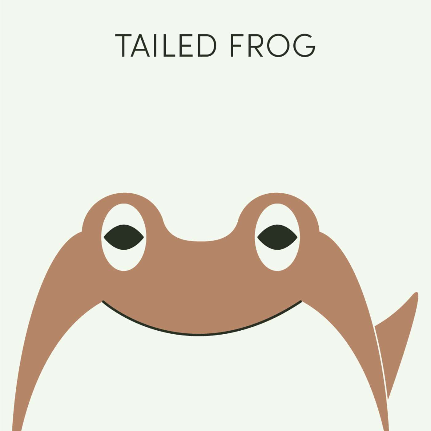 Tailed Frog | Week of November 10th