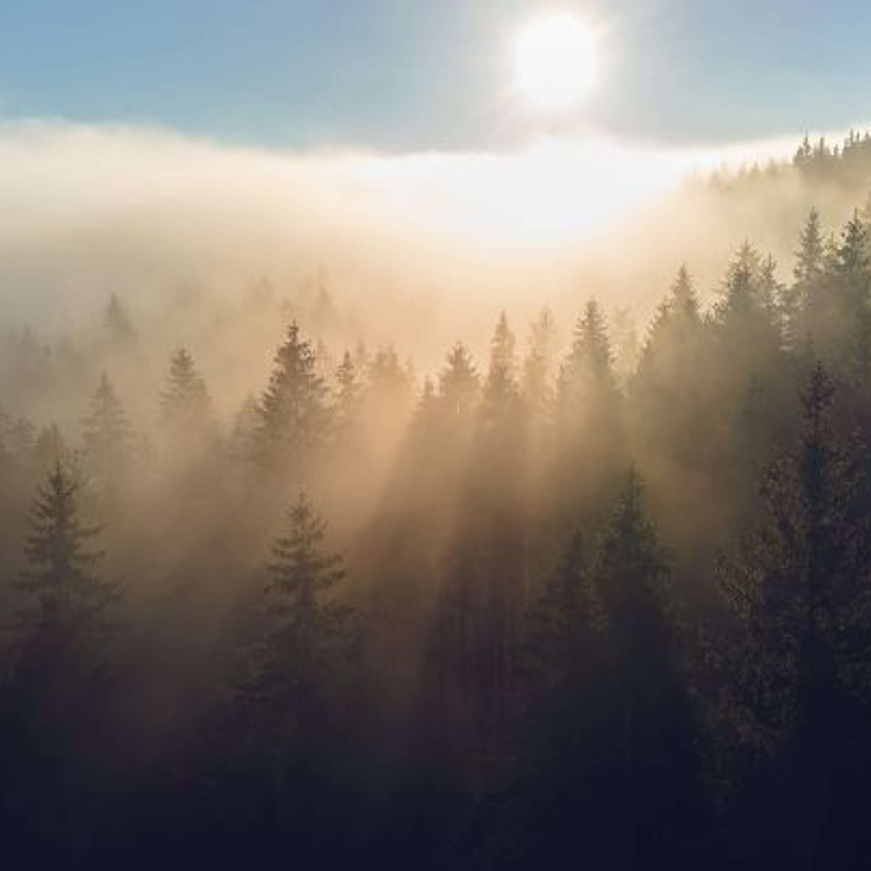 Signify Academy: Light that connects [podcasts]