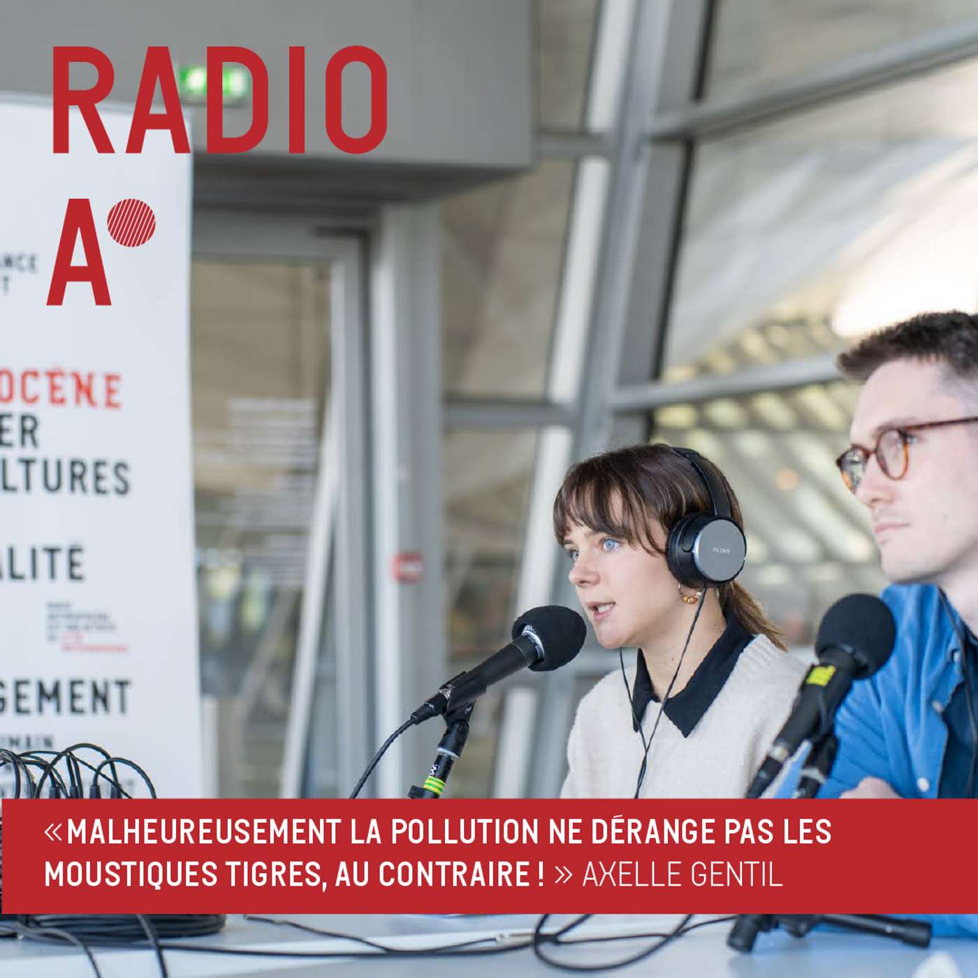 La pollution ne dérange pas les moustiques tigres, au contraire ! episode artwork