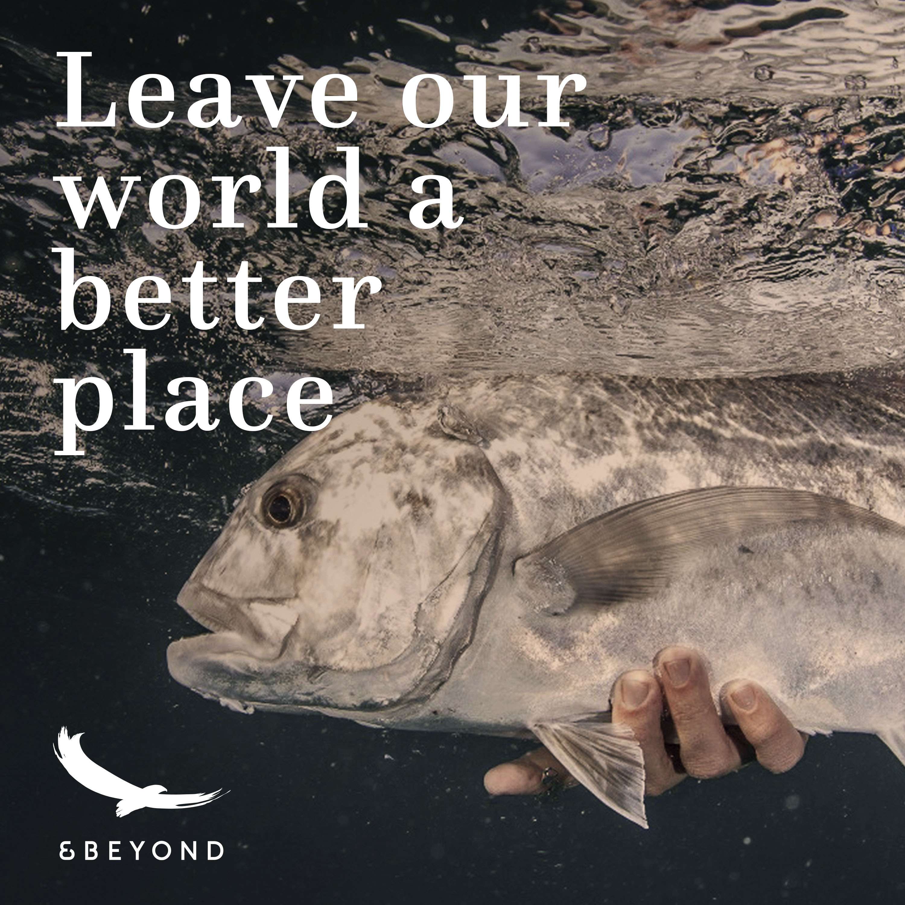 Better World