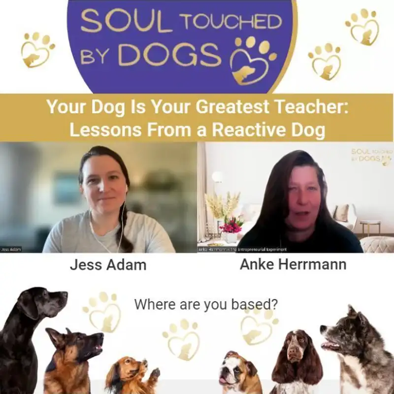 Jess Adam - Your Dog Is Your Greatest Teacher: Lessons From a Reactive Dog