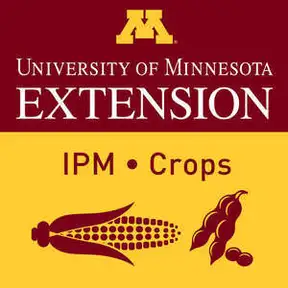 UMN Extension Field Crop IPM Podcasts