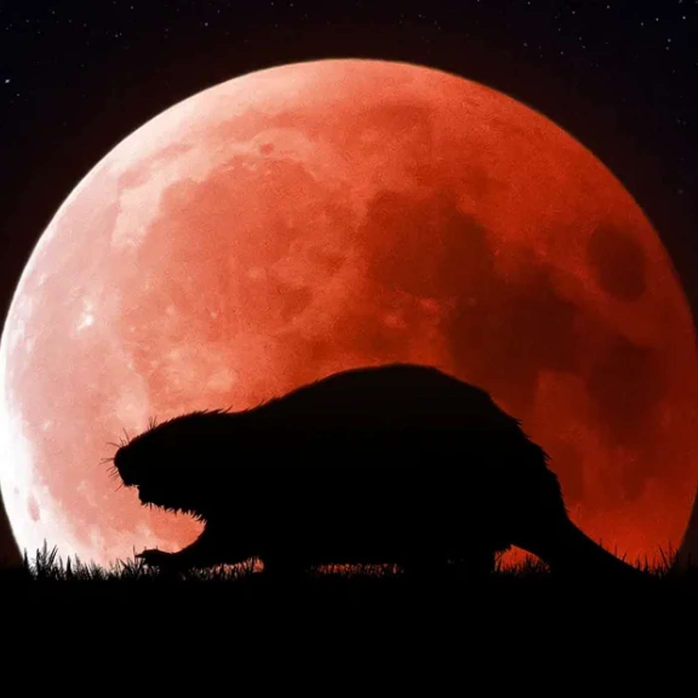 Beaver Moon, Hell Planets & Earth's Climate Crisis: November Space Report