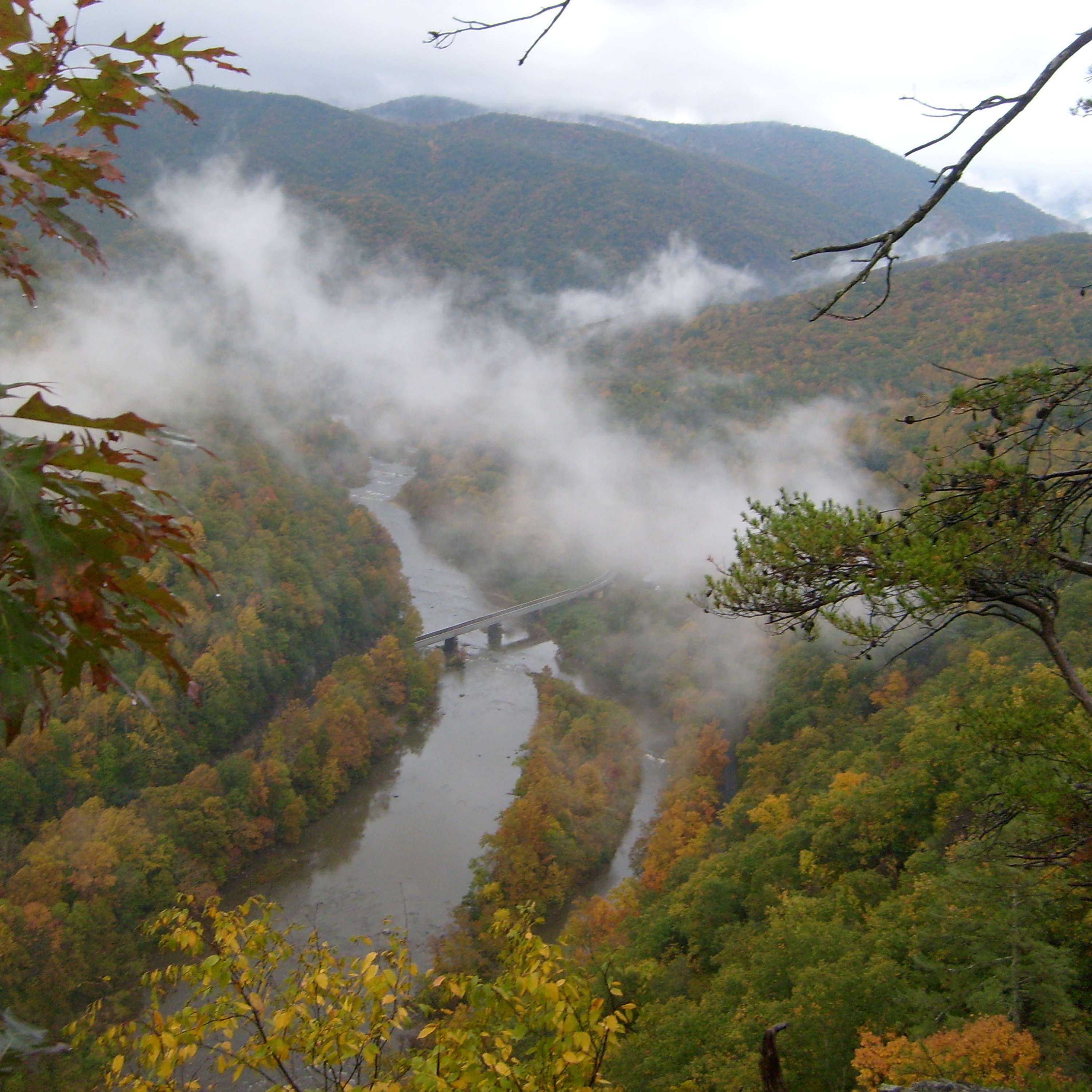 Blissful Hiking Adventures