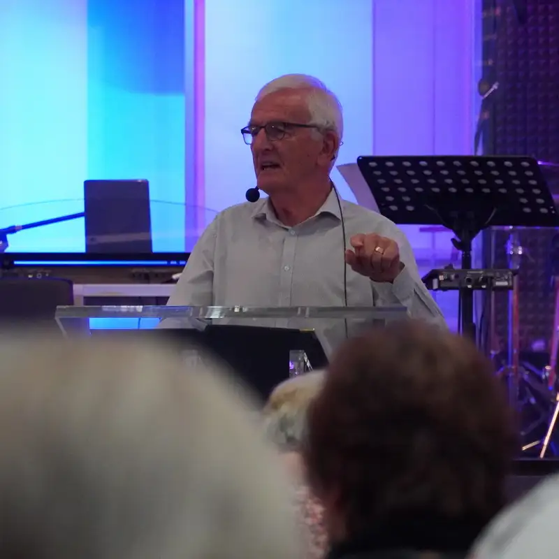 David Raynor: Growing like Peter part ii