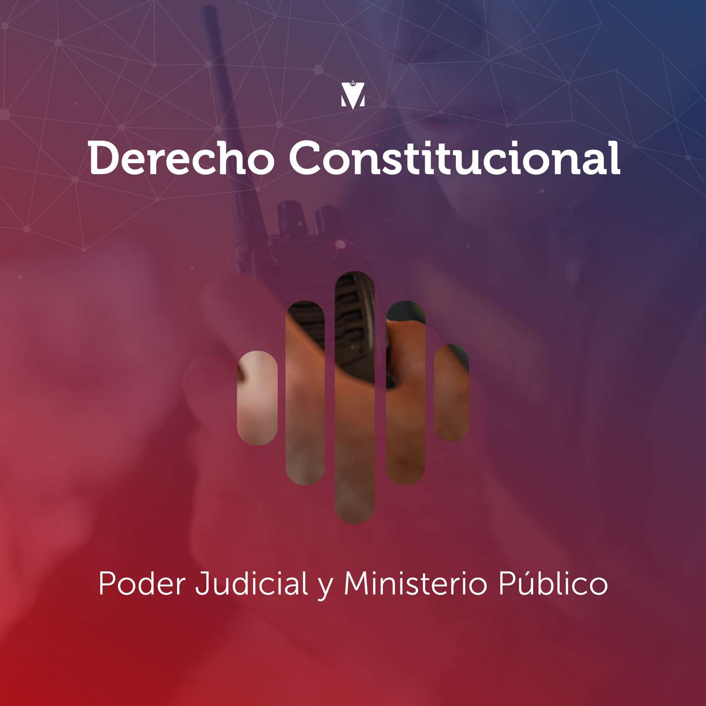LICENCIATURA EN SEGURIDAD