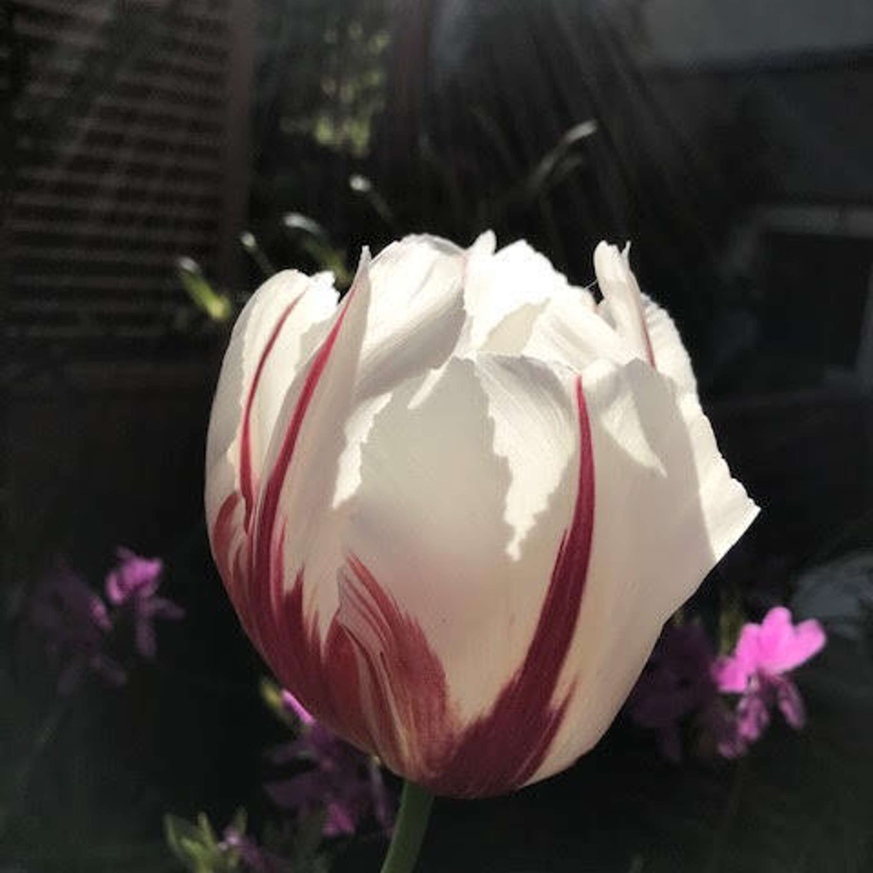 Hyvän toivon kappeli