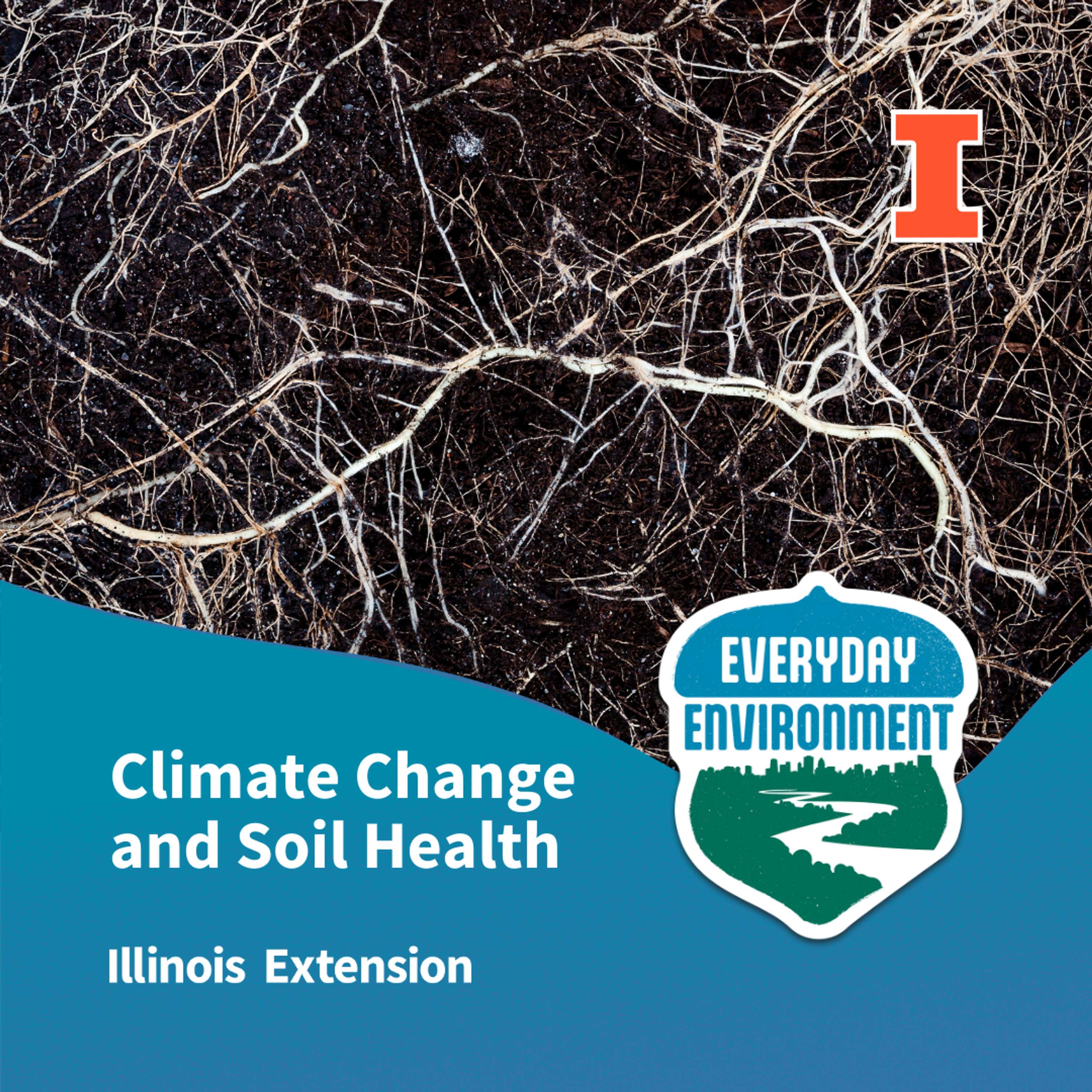 Everyday Environment Podcast