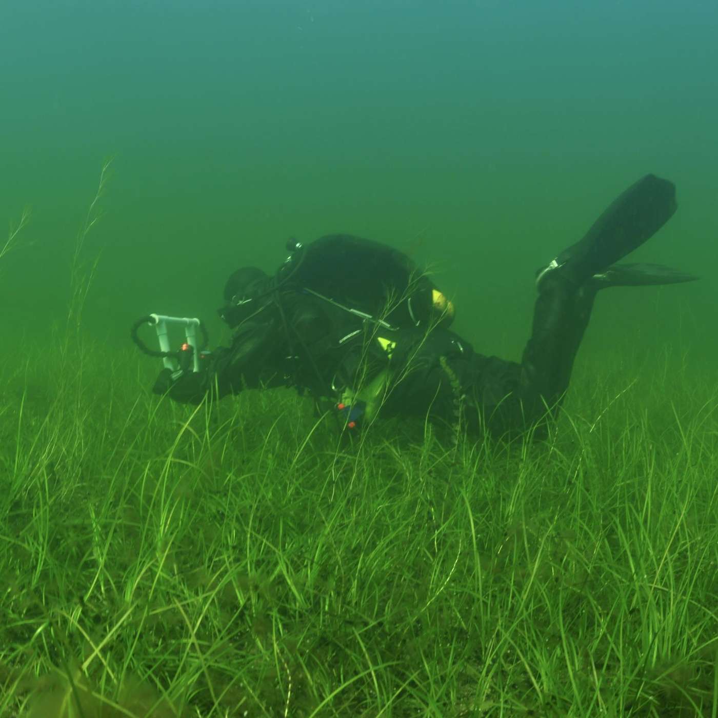 Kalaa fladaan ja dataa verkkoon