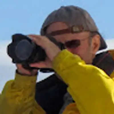 David Emerson