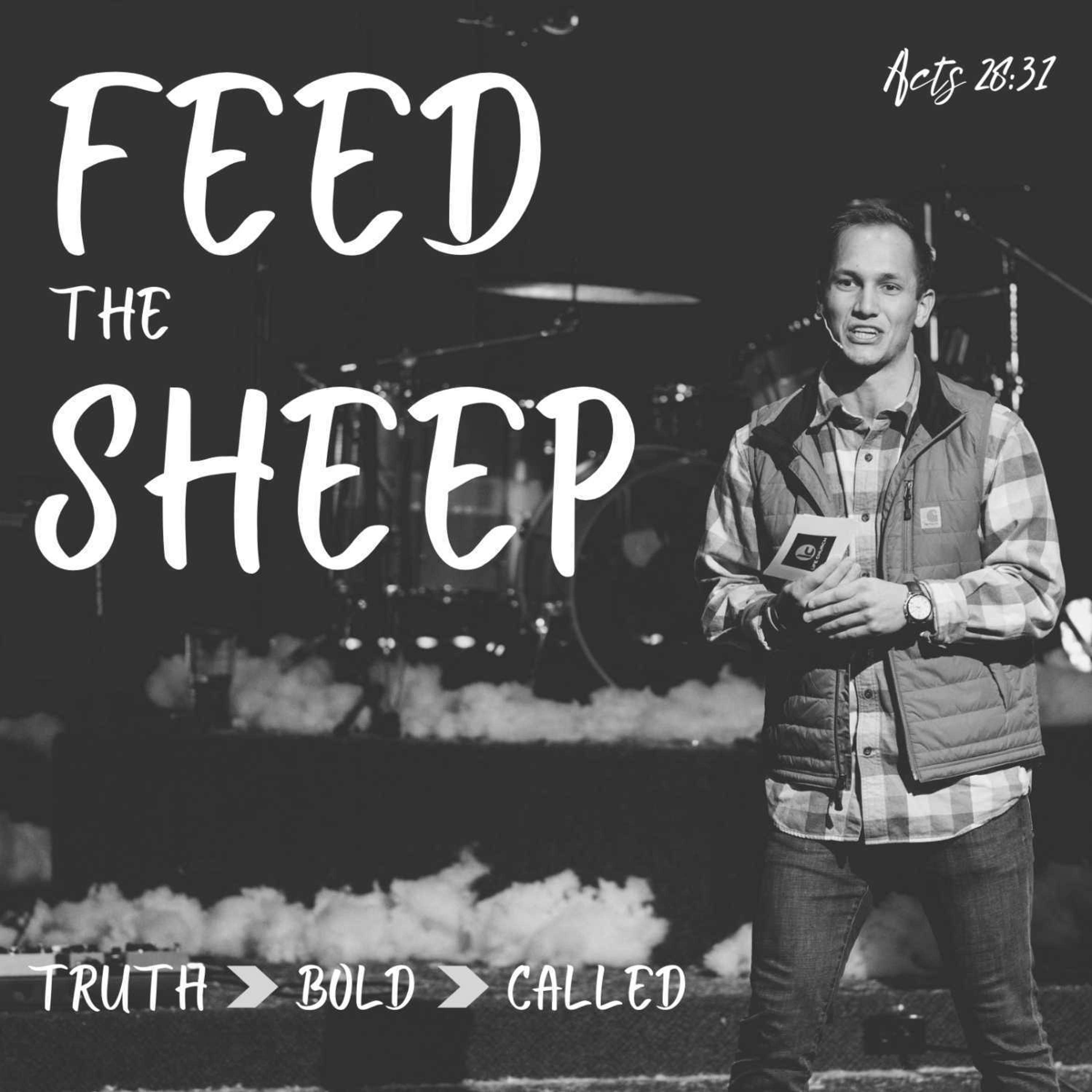 Feed the Sheep