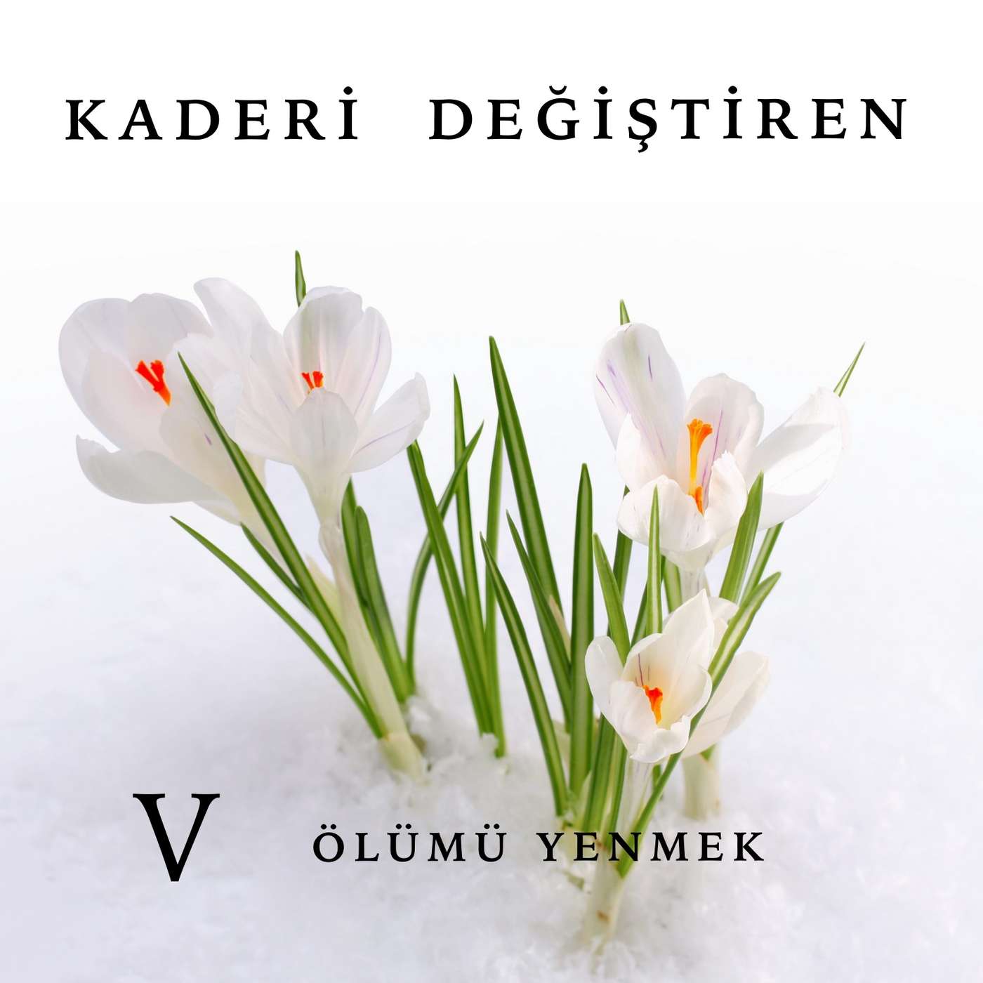 88. Kader Mi Özgür İrade Mi? episode artwork
