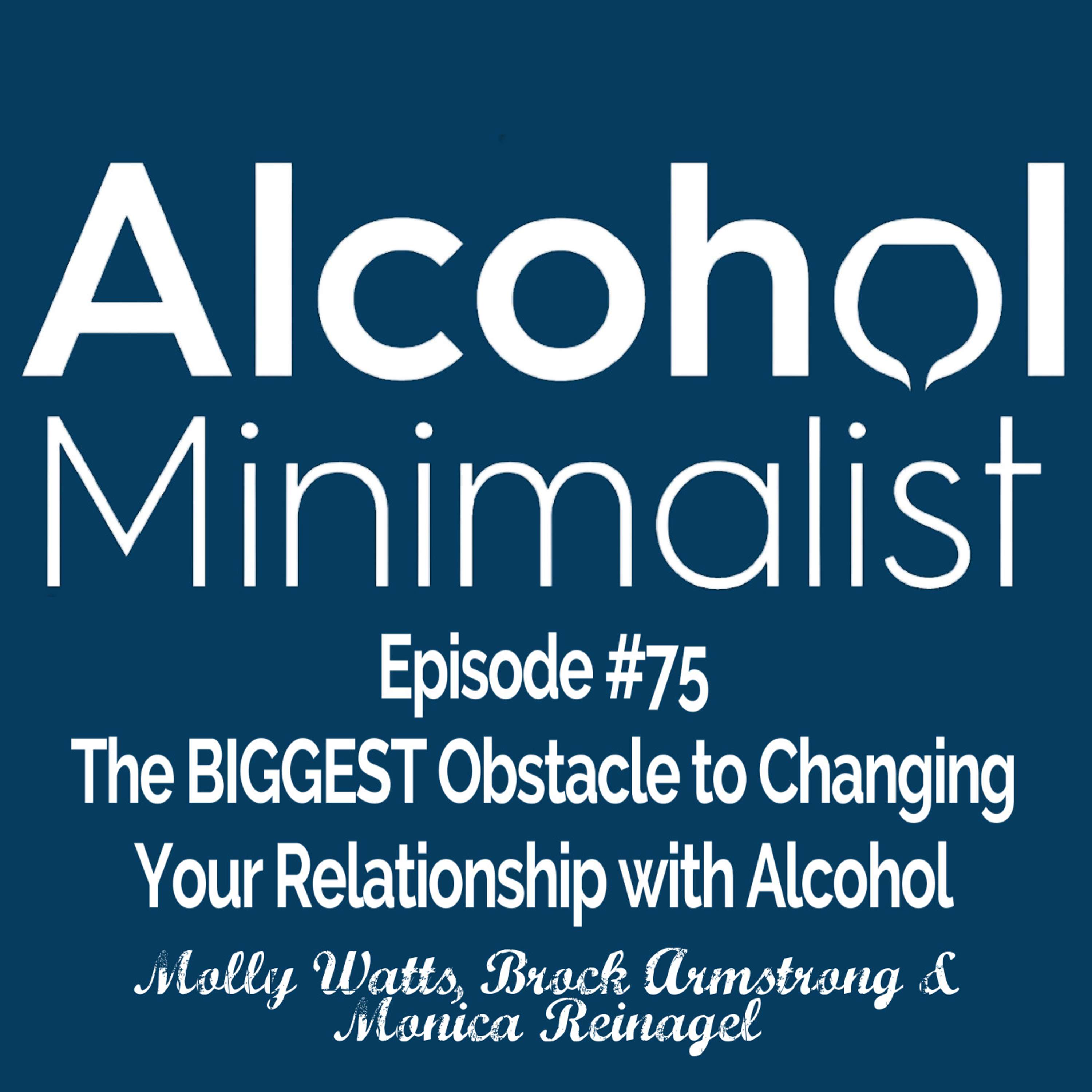 cover of episode The BIGGEST Obstacle to Changing Your Relationship with Alcohol: Special Guests Brock Armstrong and Monica Reinagel