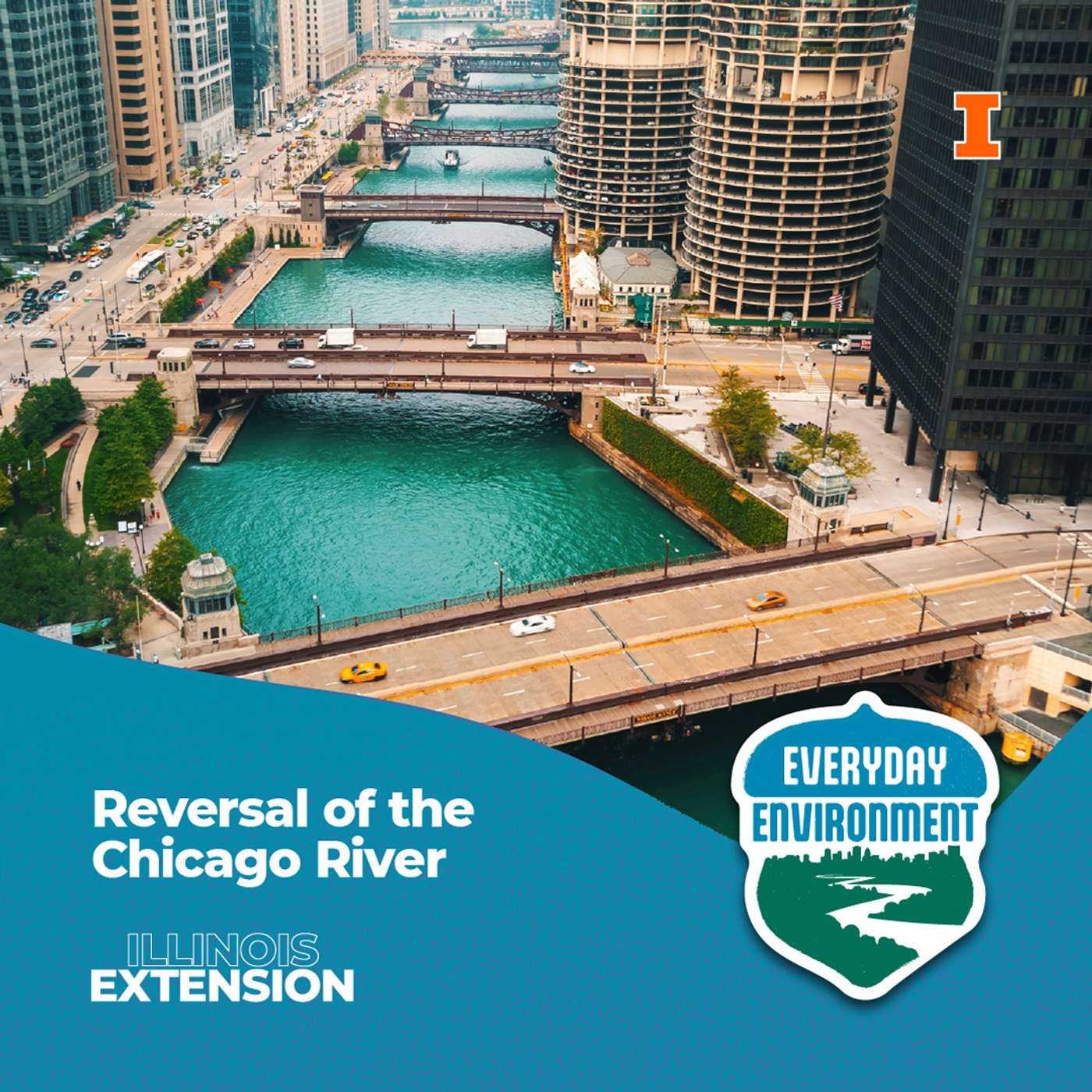 Everyday Environment Podcast
