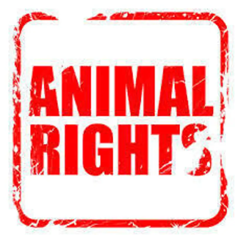 Vivi-section 10: Animal Rights: Free range vs. Slaughterhouse