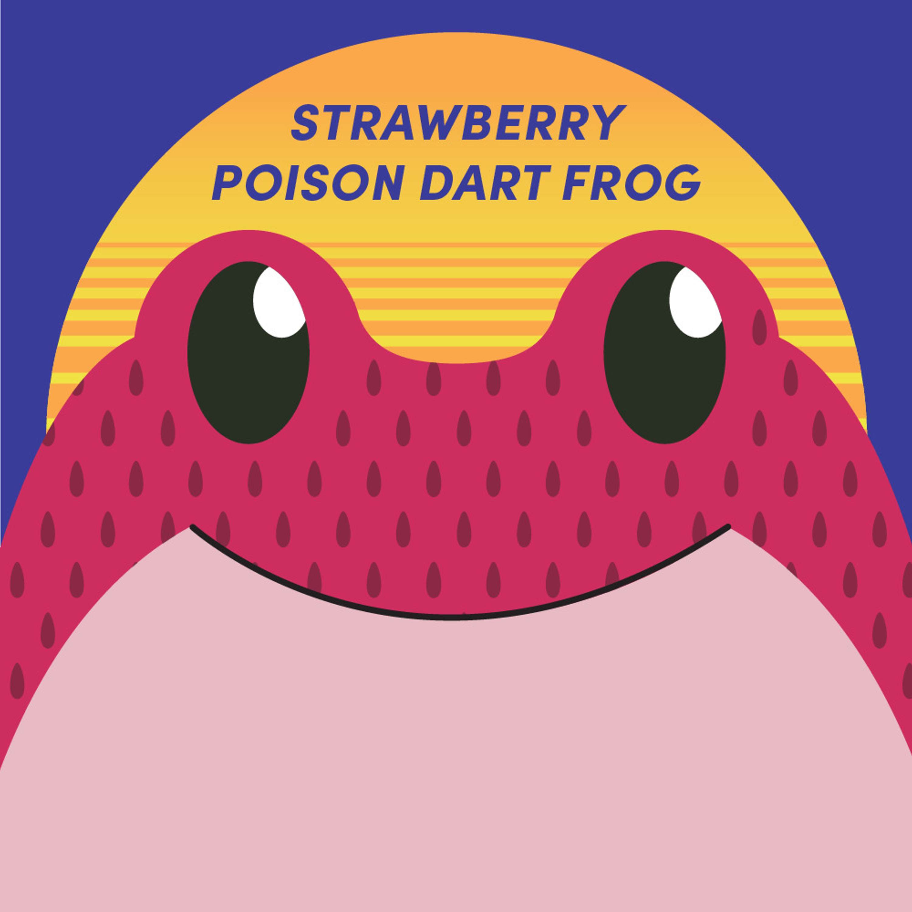 Strawberry Poison Dart Frog | Week of Dartch 14th