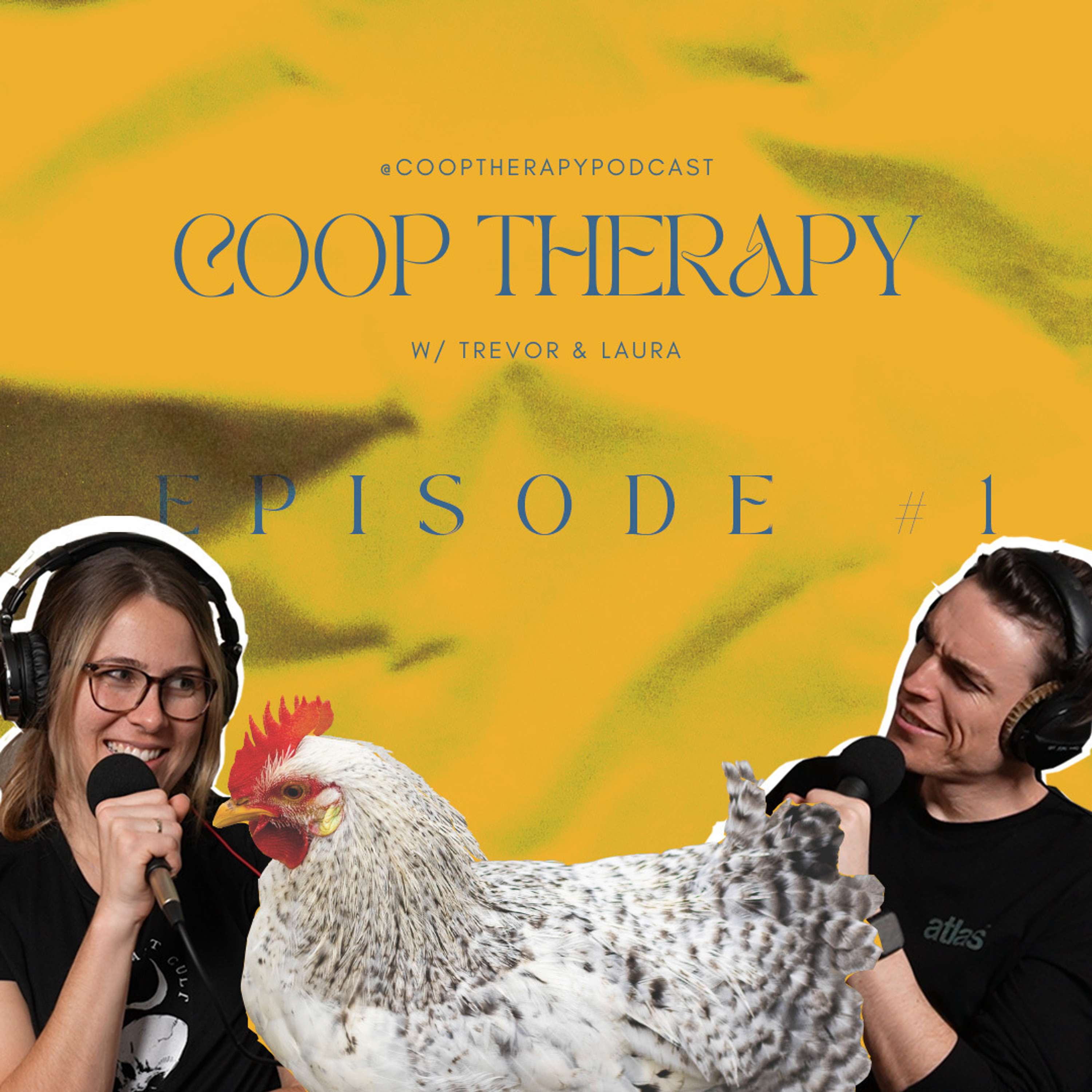 Coop Therapy