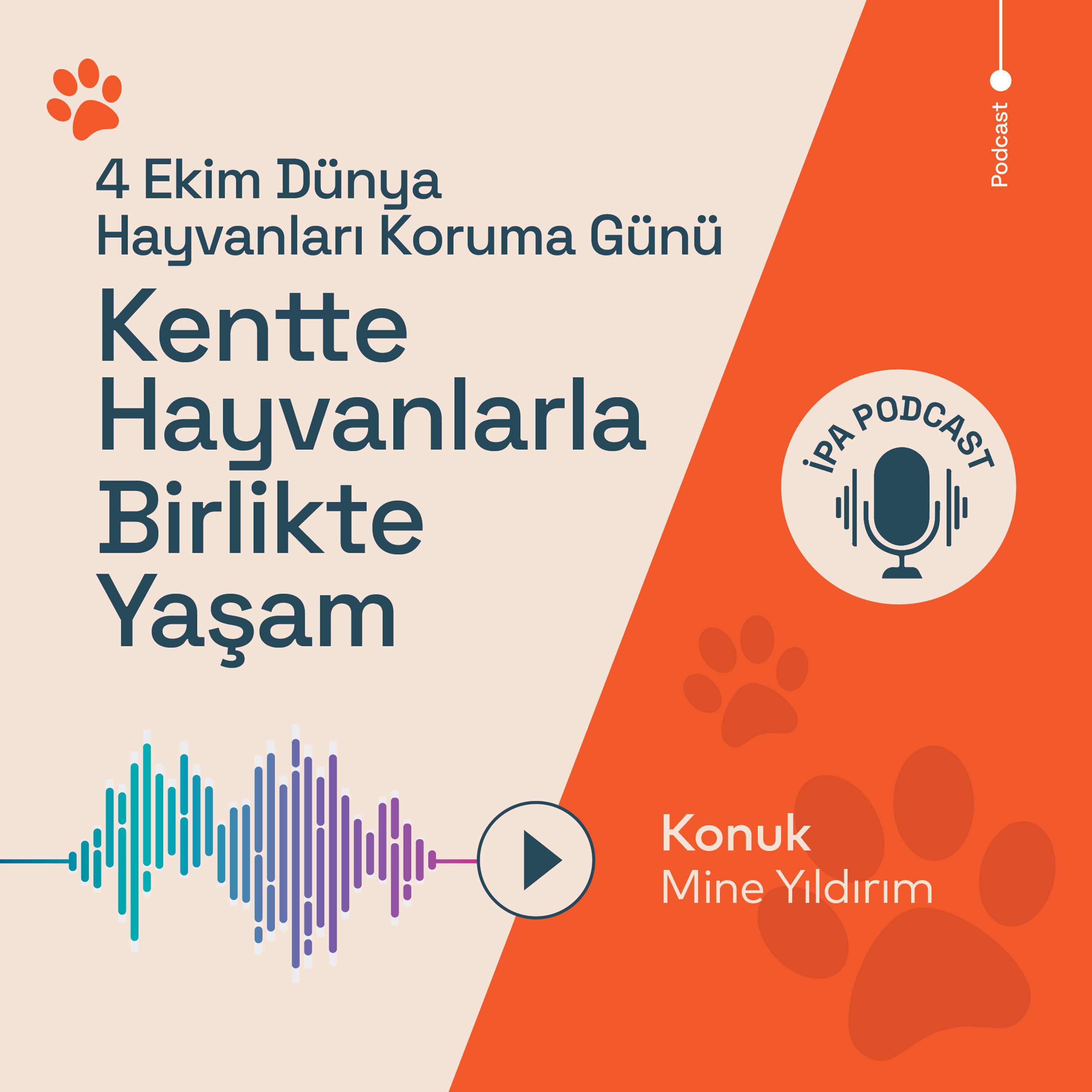 İPA Podcast