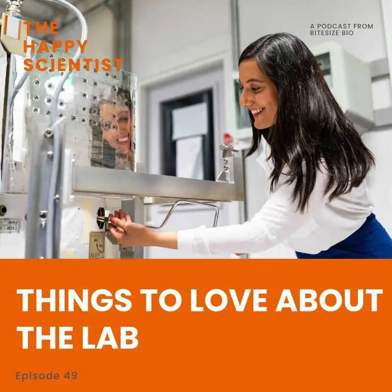 Things to Love About the Lab