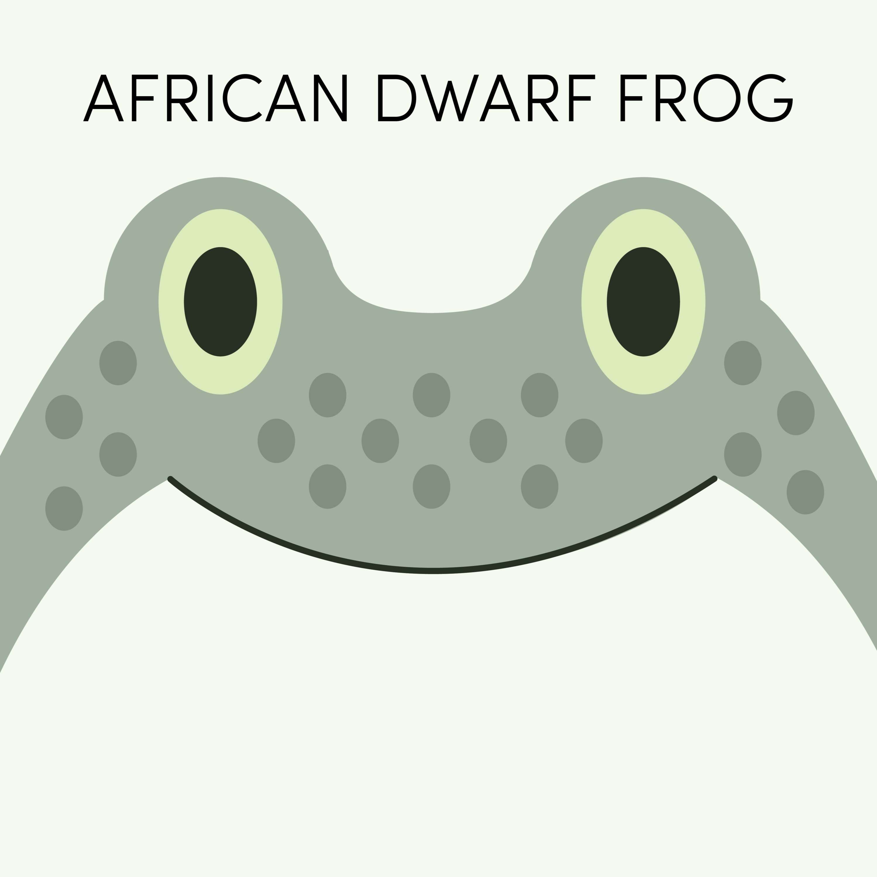 African Dwarf Frog | Week of May 24th