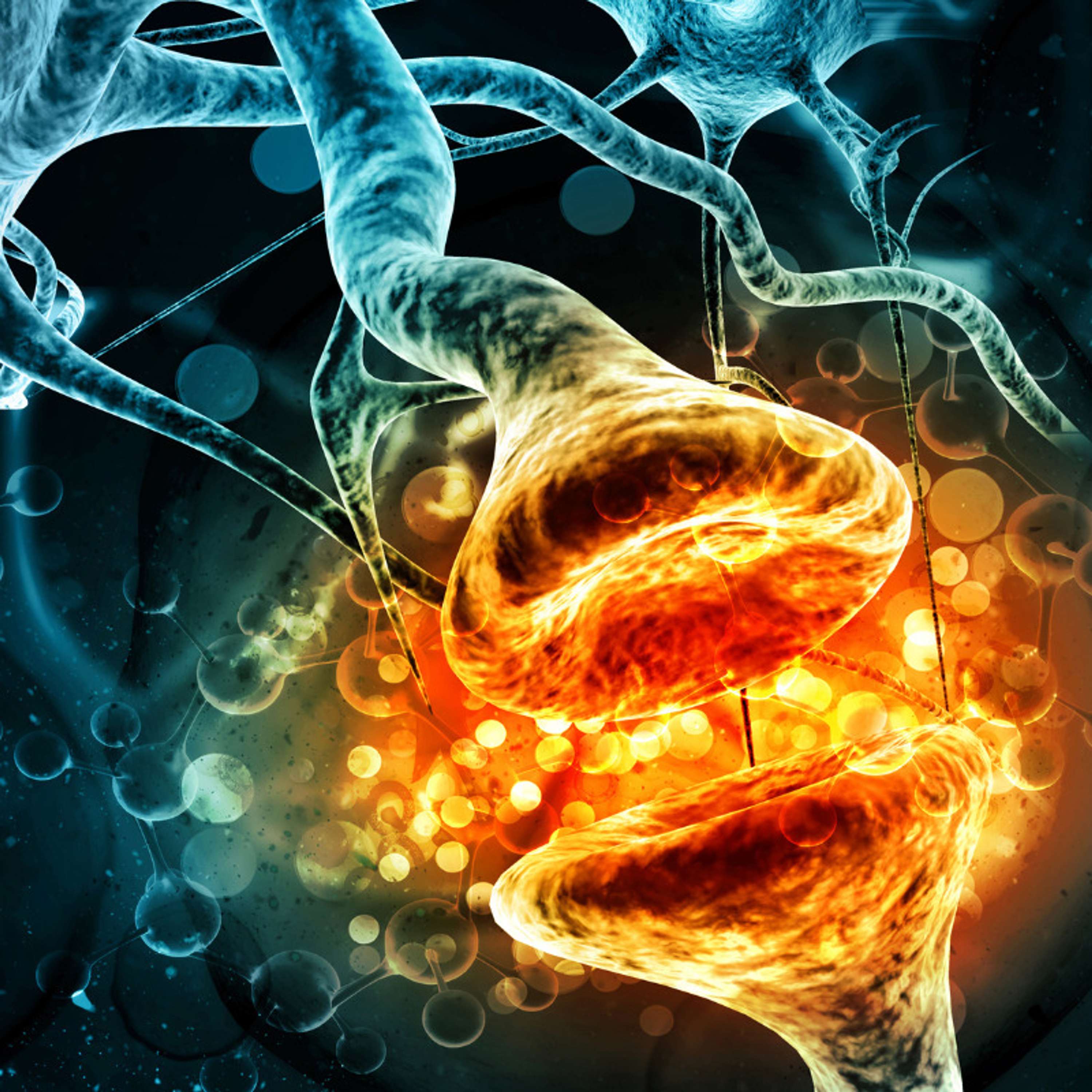 Hormones and Signaling: Chemical Messengers that Coordinate Body Functions