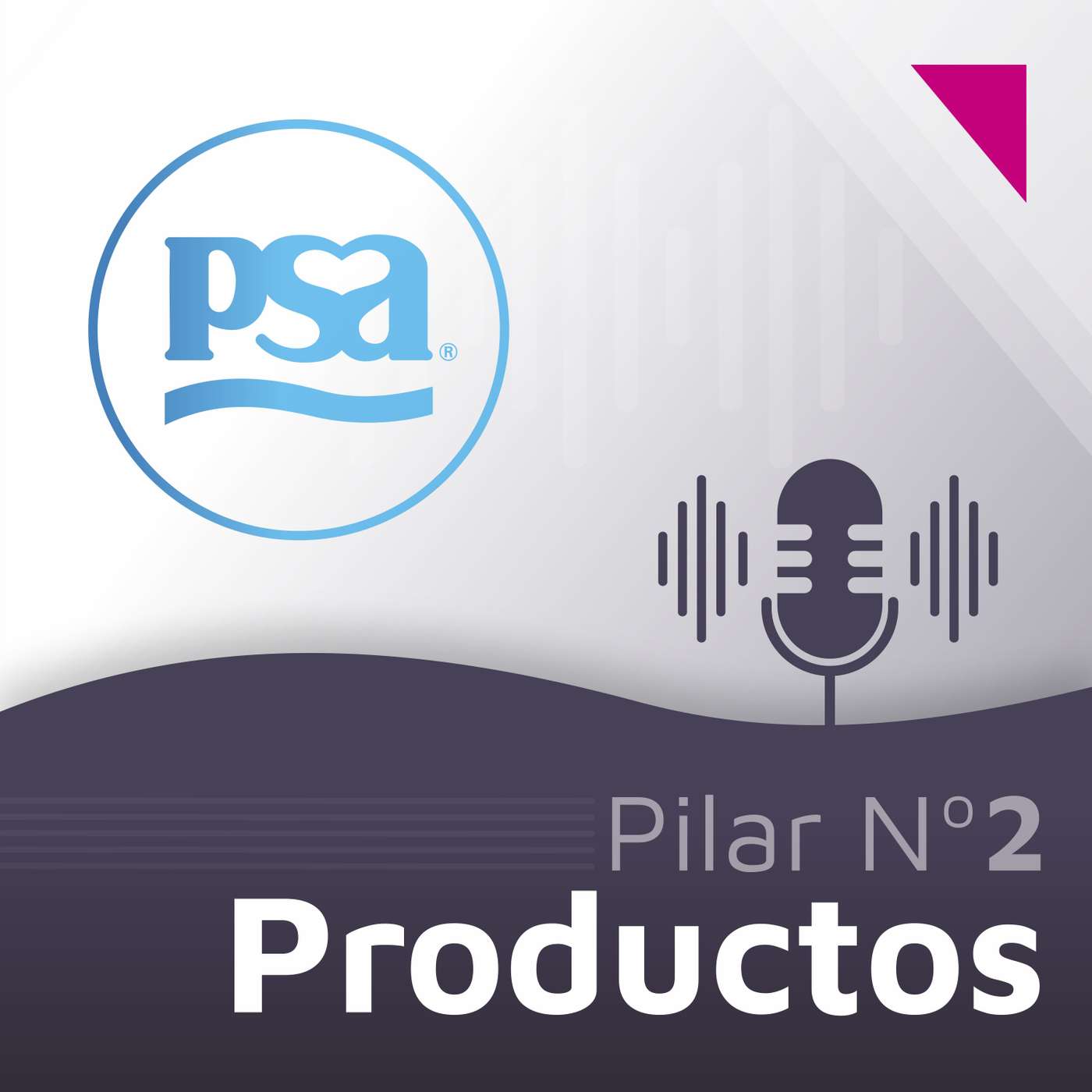 Pilar N°2: Productos