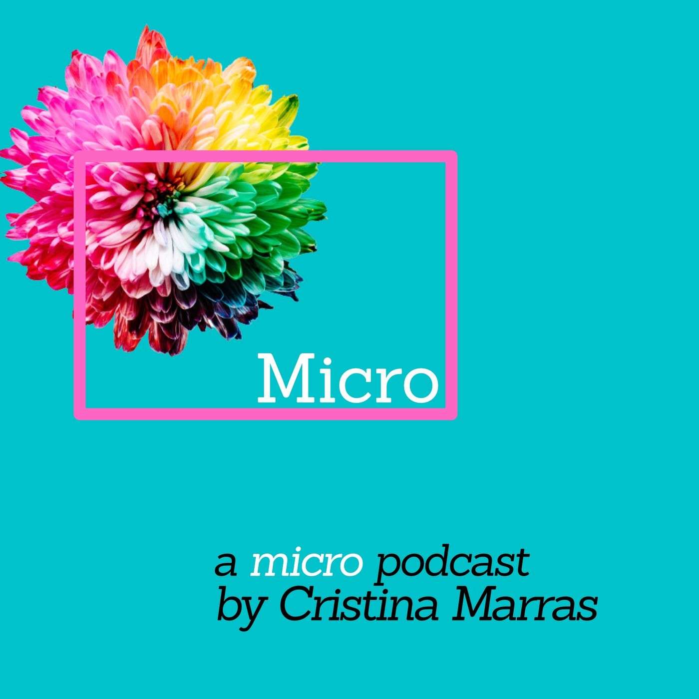 Micro (one-minute stories)