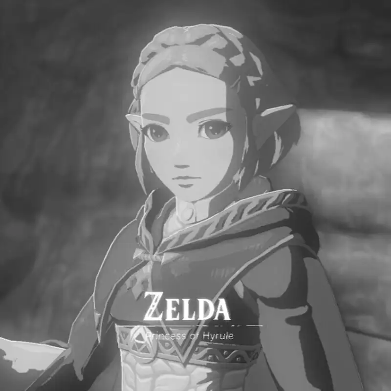 Tears of the Kingdom Special