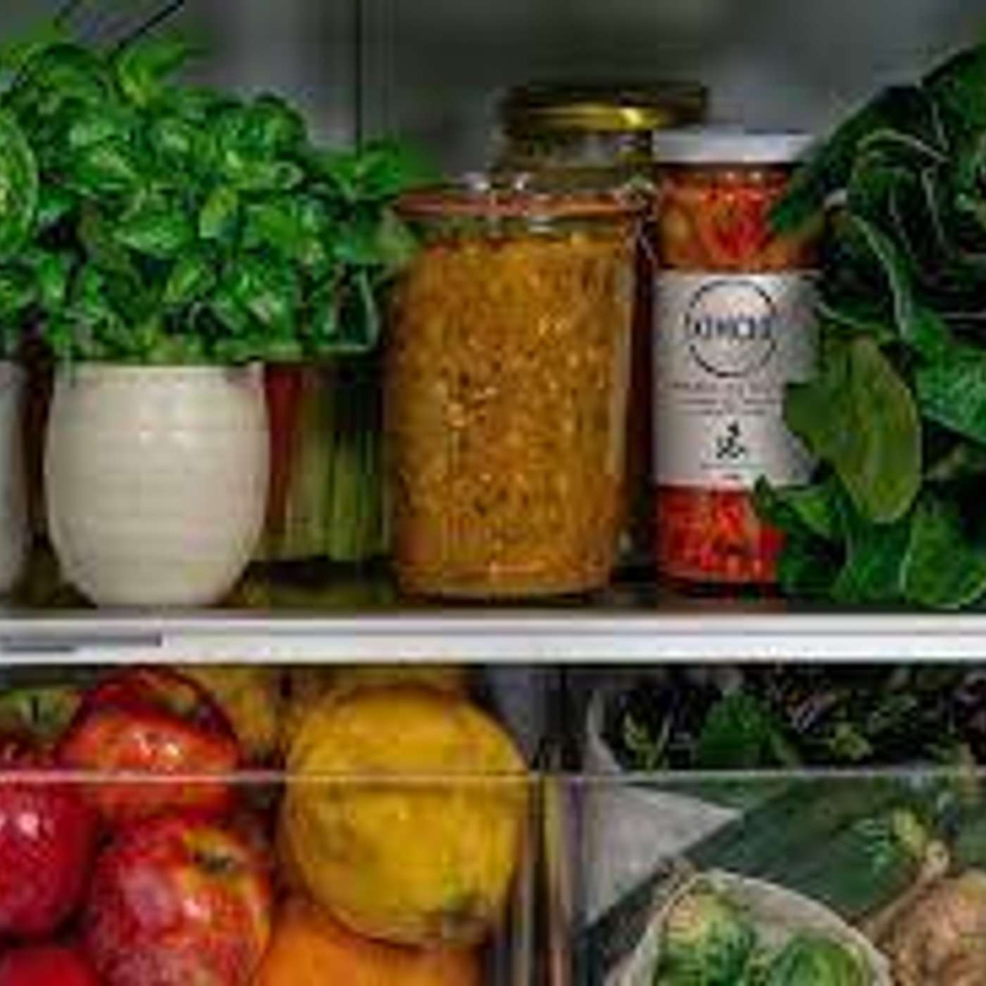 The Feast and the Fridge
