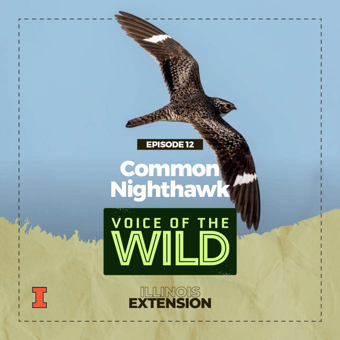 Voice of the Wild
