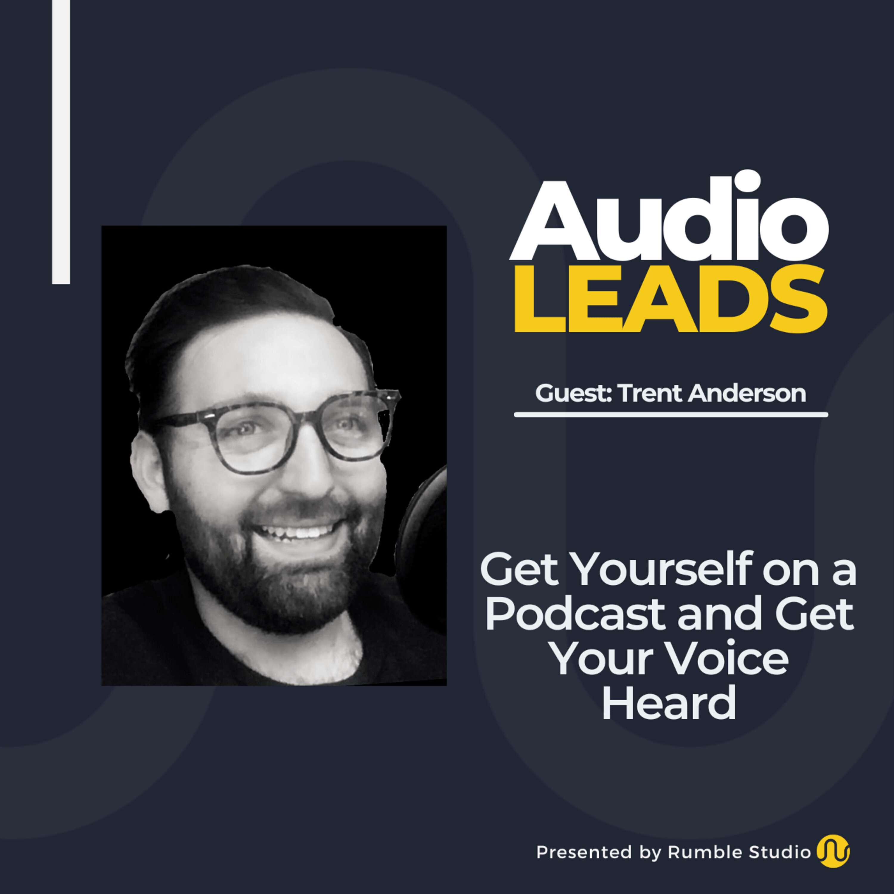 Audio Leads