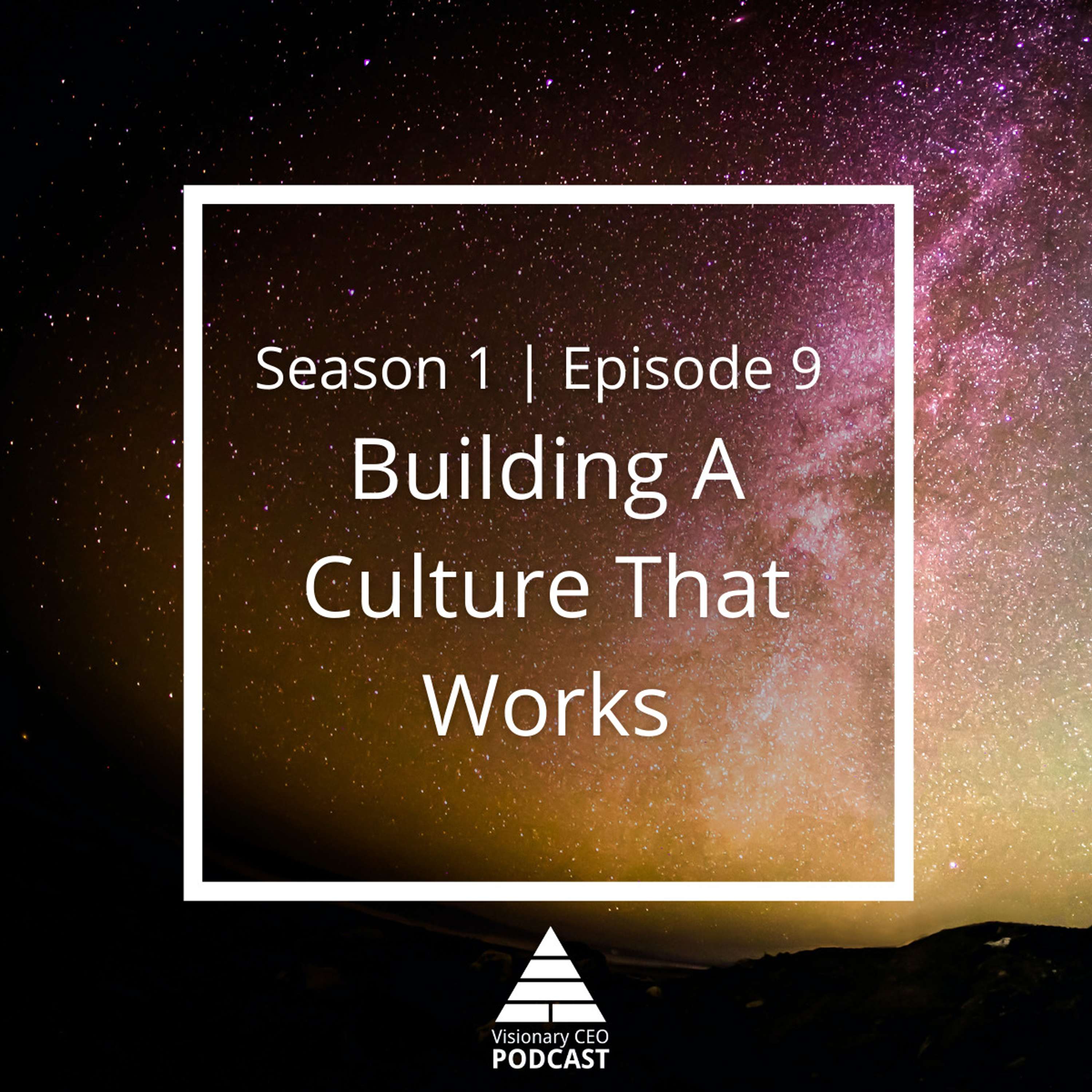 Visionary CEO Podcast