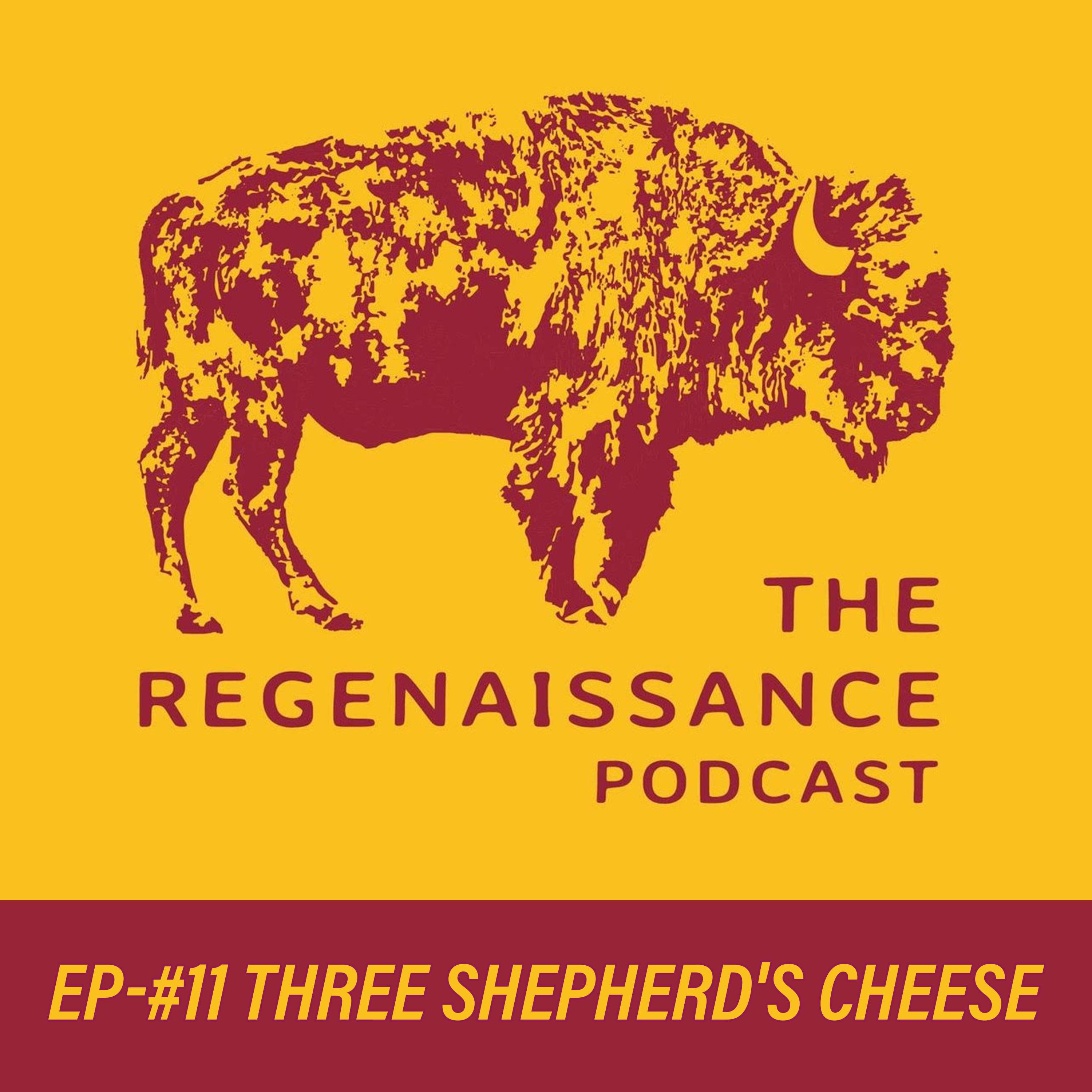 The Regenaissance Podcast