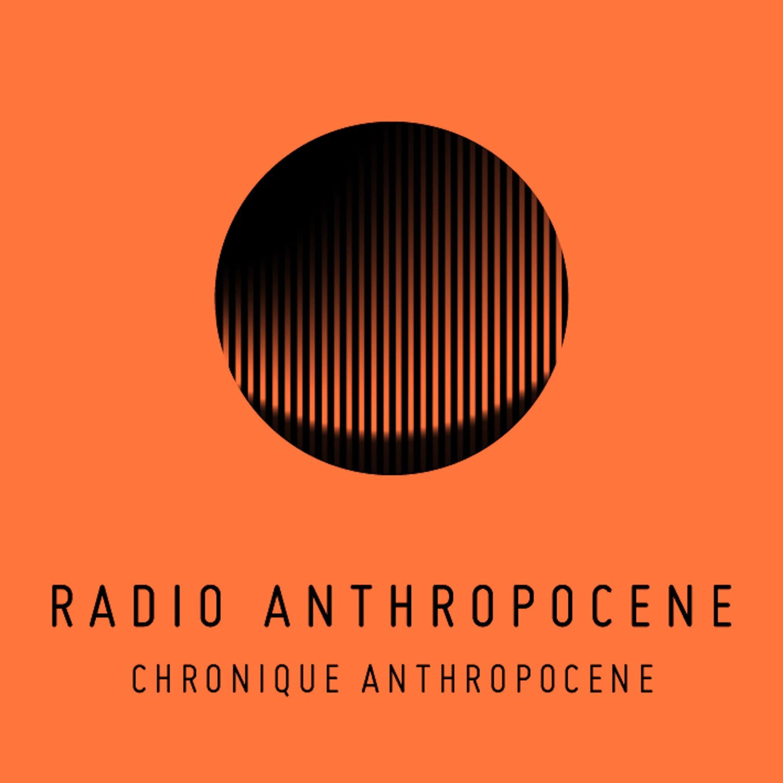 Chroniques Anthropocènes