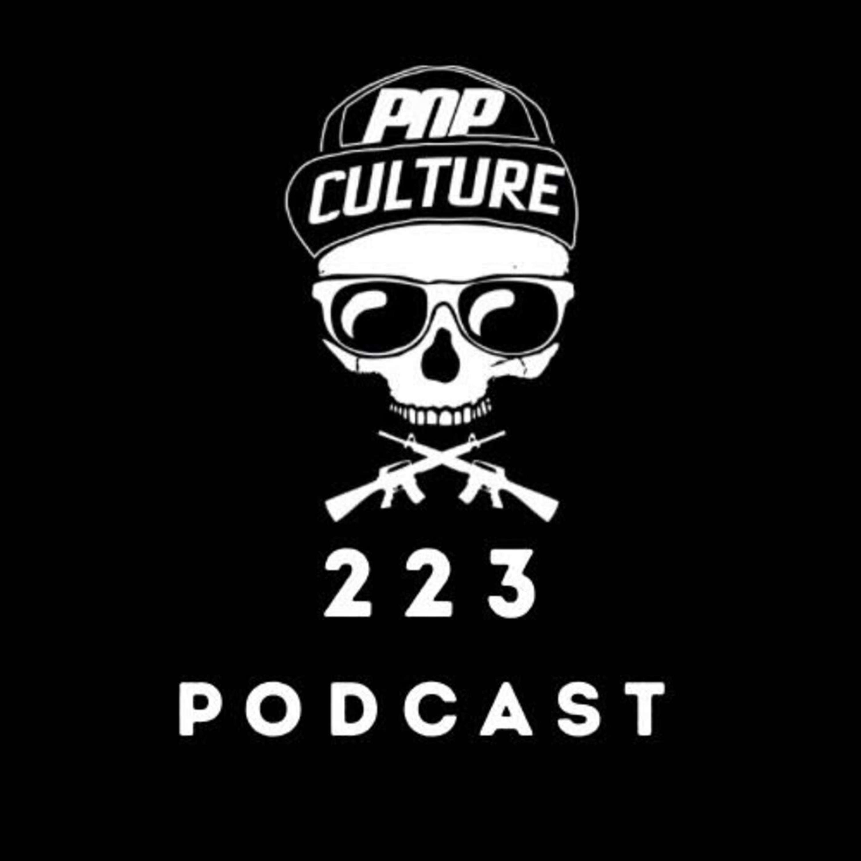 Pop Culture 223