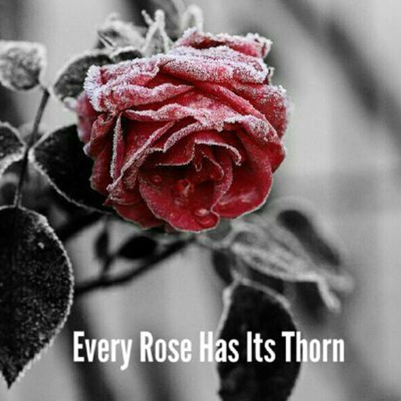 AM - 9:30 - Sunday, September 25, 2022: Every Rose has its Thorn